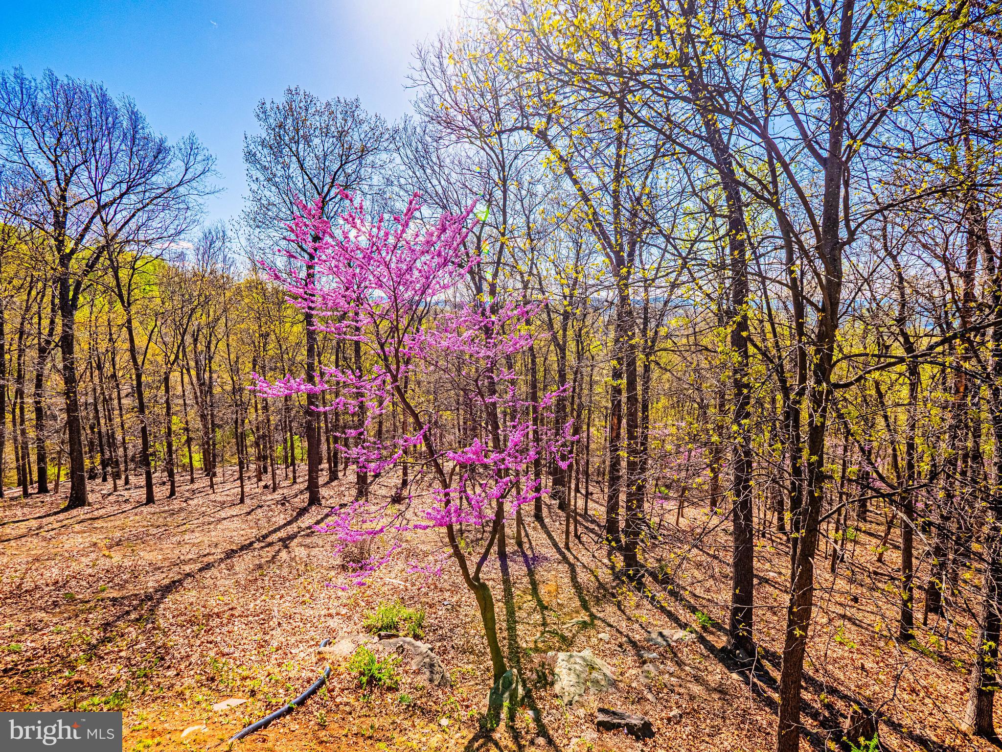 LOCH LINDEN - Residential
