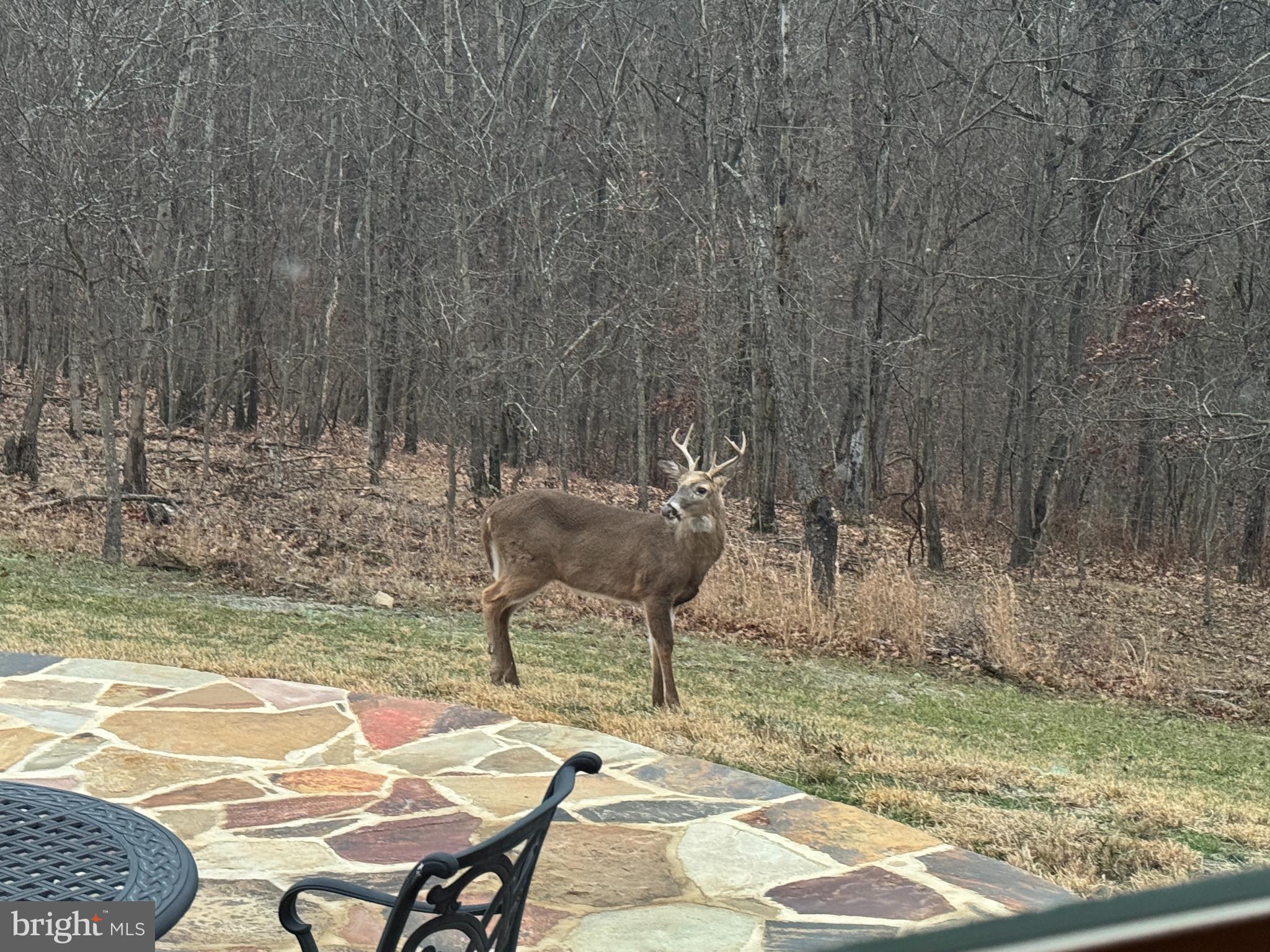 OAKPOINTE - Residential