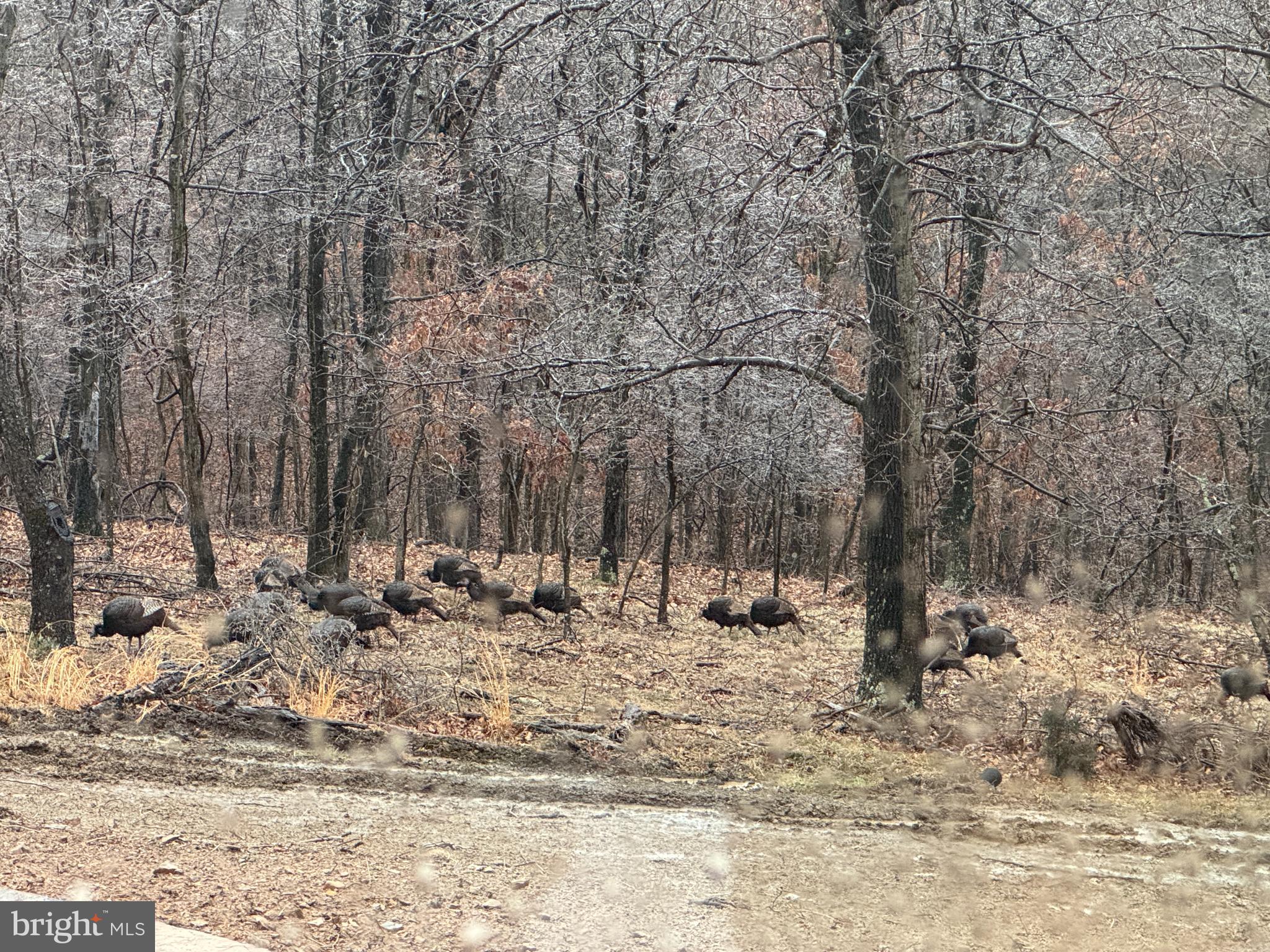 OAKPOINTE - Residential