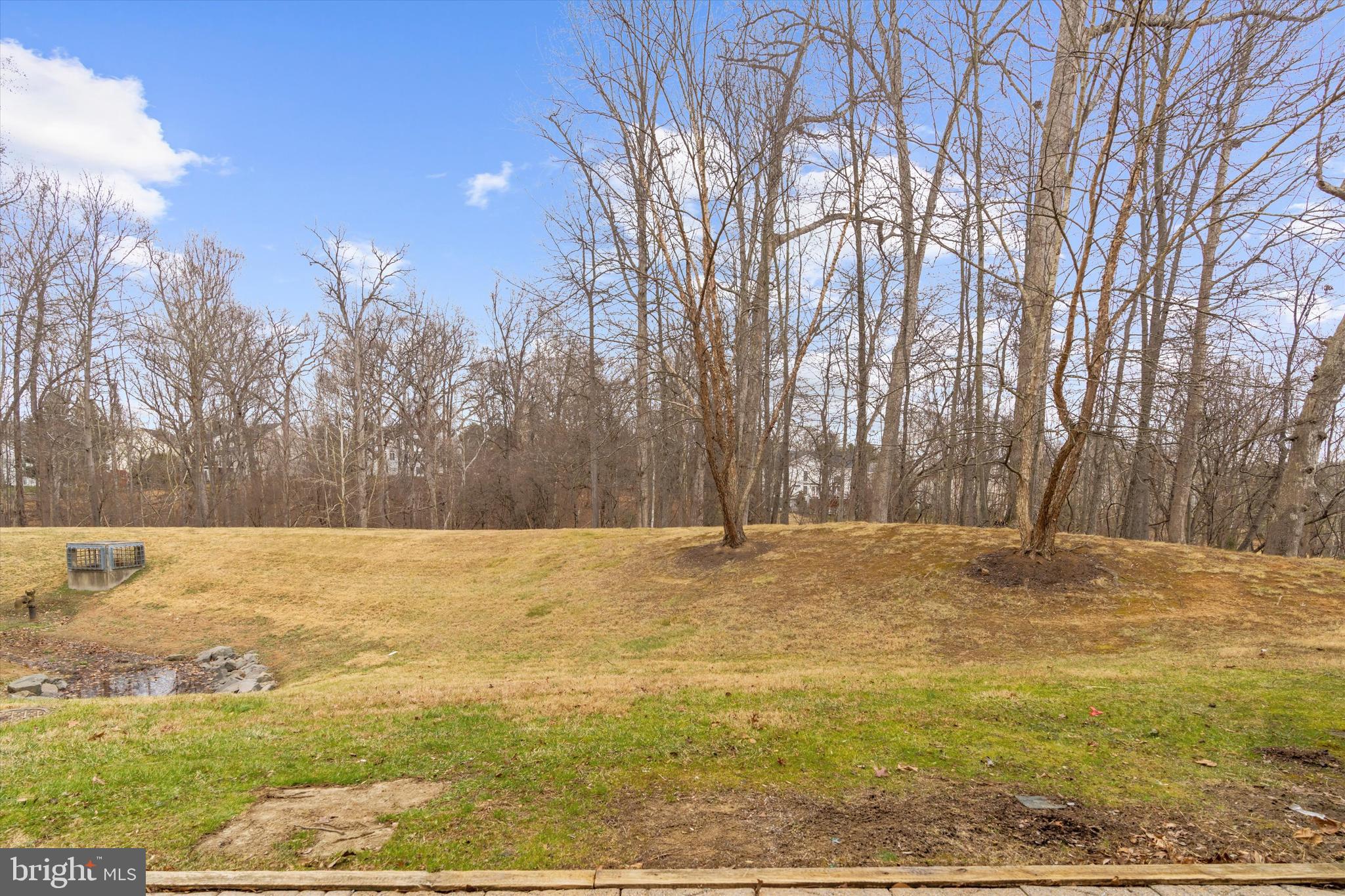 POTOMAC CHASE - Residential