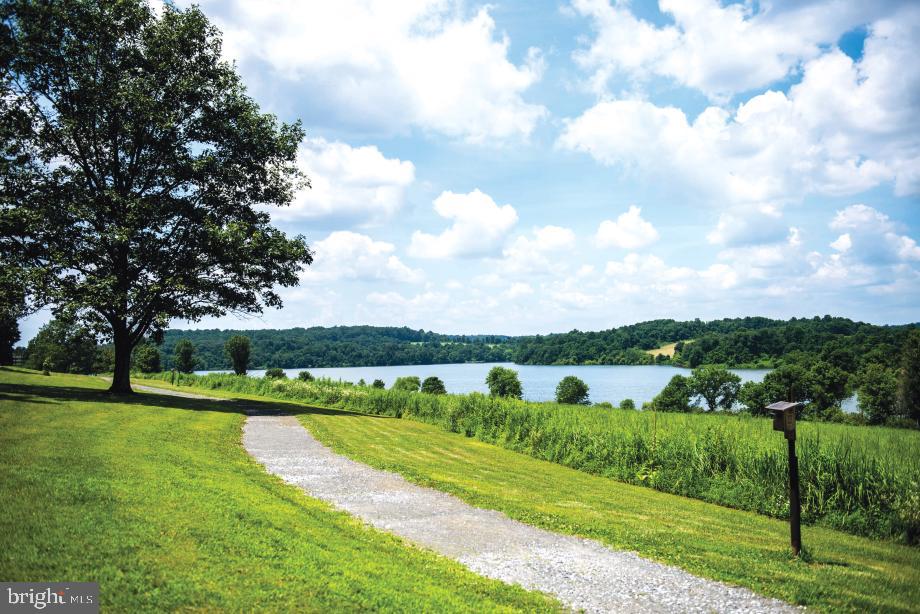 PRESERVE AT MARSH CREEK - CARRIAGE COLLECTION - Residential