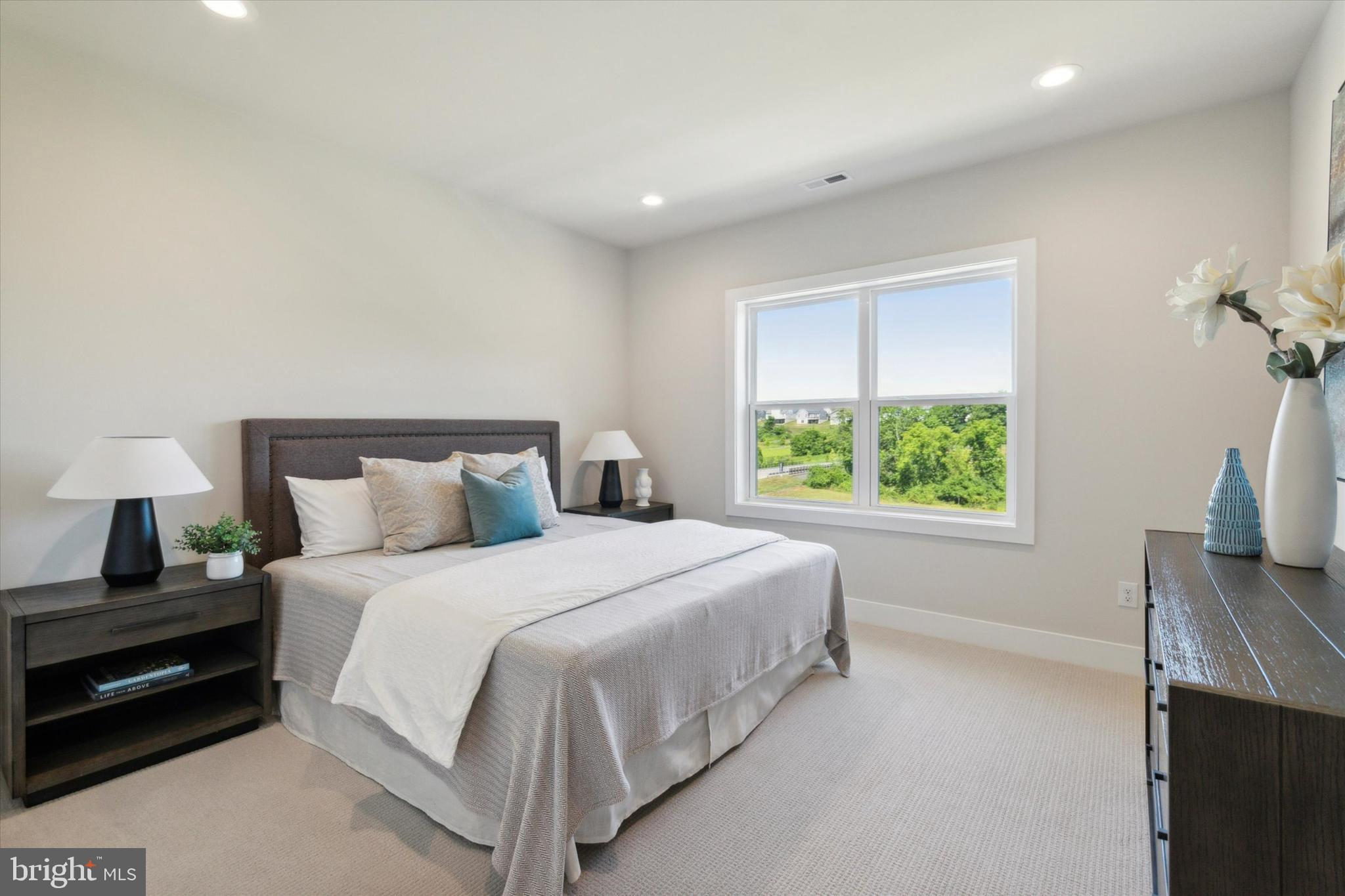 PRESERVE AT MARSH CREEK - CARRIAGE COLLECTION - Residential