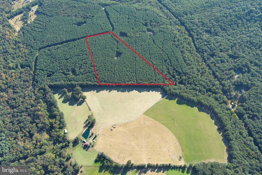 POSTCARD PICTURE PERFECT.....20 FLAT ACRES OF MAJESTIC LOBLOLLY PINE FOREST WITH GORGEOUS DRIVEWAY LEADING TO CLEARED BUILD/CAMP SITE IN THE CENTER OF THE PROPERTY FOR MAXIMUM PRIVACY. 15K WORTH OF WORK ALREADY DONE BETWEEN THE DRIVEWAY & CLEARING. ADJACENT TO A STUNNING FARM......EVERYTHING ABOUT THIS PROPERTY IS PICTURE PERFECT AND POSTCARD WORTHY! LOCATED JUST BEYOND THE GATE IN THE EXCLUSIVE MOUNTAIN COMMUNITY OF ASHTON WOODS, THE LARGEST DEVELOPMENT OF IT'S KIND ON THE EAST COAST.....10,000 + ACRES COMPRISED OF 362 20+ ACRE TRACTS AND 48 MILES OF INTERNAL ROADS....THE COMMUNITY ALSO ADJOINS NATHANIEL MOUNTAIN WILDLIFE MANAGENT AREA.....10,000 MORE ACRES OF PUBLIC HUNTING AND HIKING! THIS LOT OFFERS ALL OF THE FEATURES AND BENEFITS OF BEING IN ASHTON WOODS WITHOUT HAVING TO TRAVEL SEVERAL MILES OF DUSTY WINDY ROADS......AND YOU'RE CLOSER TO ALL THE EXTERNAL BENEFITS OF THE AREA: 5 MINUTE DRIVE IN ANY DIRECTION TO PUBLIC ACCESS ON THE SOUTH BRANCH OF THE POTOMAC RIVER, 10 MINUTES FROM WAL MART, SHOPPING, THEATERS, RESTAURANTS & 4 LANE SUPER HIGHWAY, 40 MINUTES FROM SKI RESORTS AND WORLD CLASS TROUT FISHING. IT'S HARD TO BELIEVE THAT A RECREATIONAL MOUNTAIN OASIS SUCH AS ASHTON WOODS EVEN EXISTS......BUT IT DOES....AND IT'S AN EASY 2 HOUR DRIVE FROM THE DC METRO AREA! HUNT, CAMP, SHOOT, ATV'S.....BUILD YOUR WEEKEND RETREAT OR BECOME A FULL TIME MOUNTAINEER.....POWER & PERKED! COME PUNCH YOUR TICKET TO A BETTER WAY OF LIFE, COME SEE WHY SO MANY PEOPLE ARE MAKING THE MOVE, COME SEE WHY OUR STATE IS CALLED ALMOST HEAVEN!