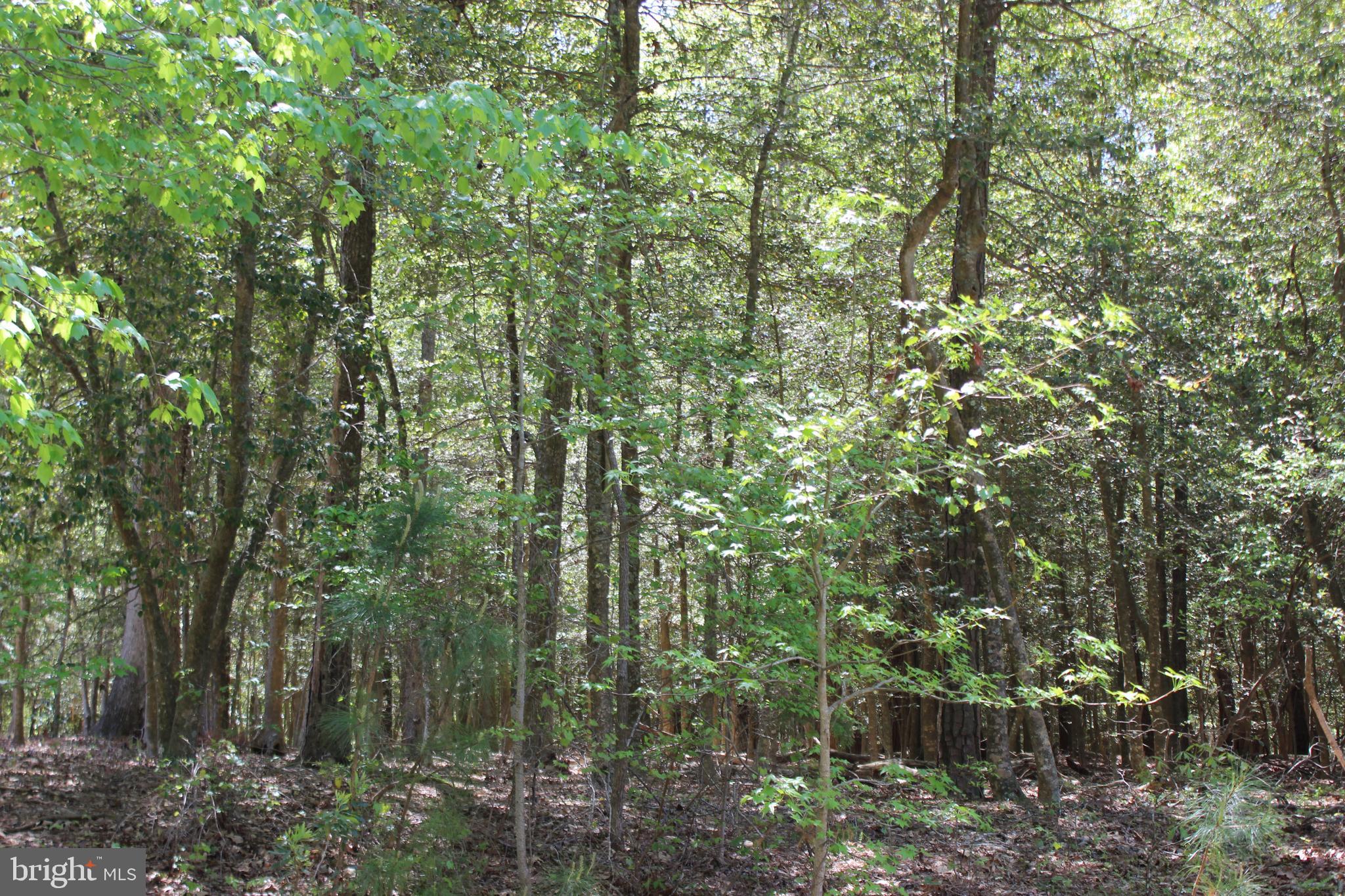 CAPTAIN'S COVE - Land