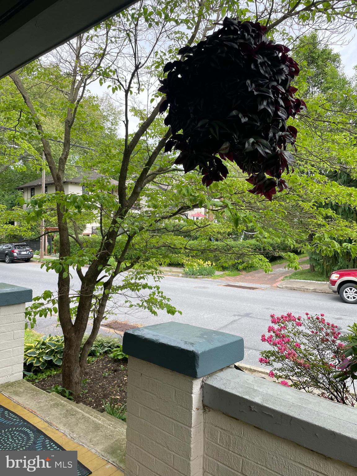 HAMILTON PARK - Residential