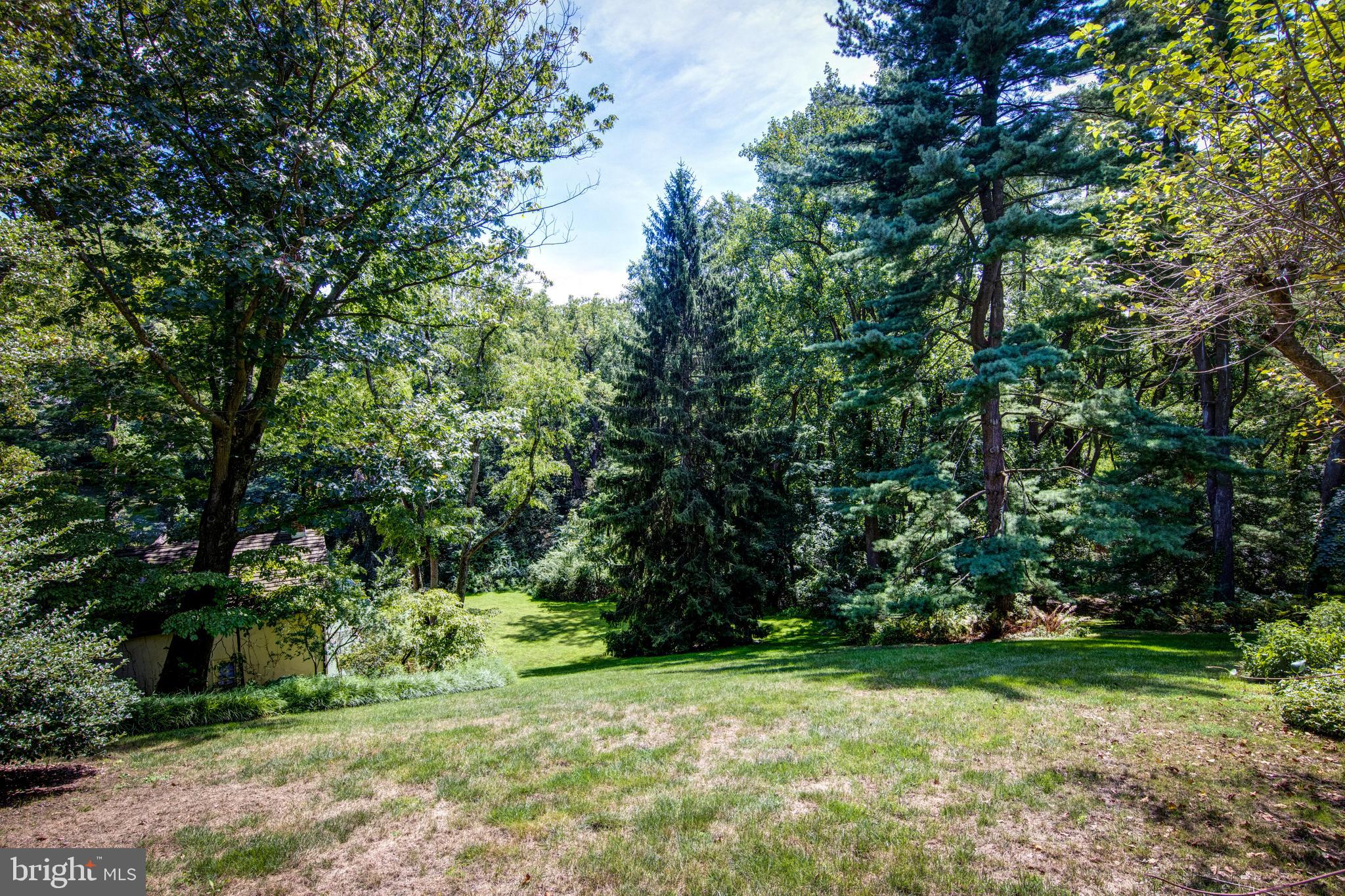 CHESTNUT HILL - Residential