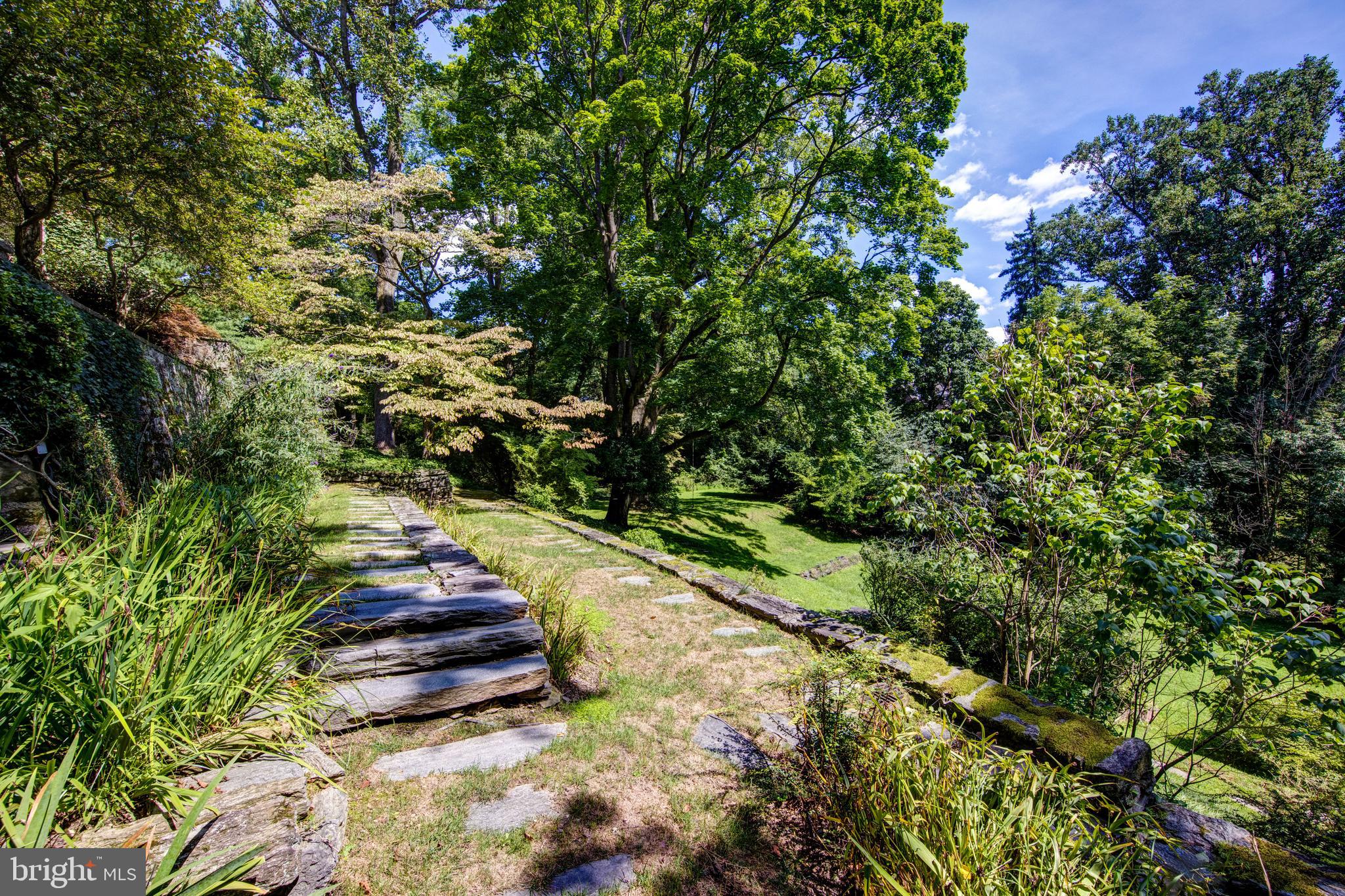 CHESTNUT HILL - Residential