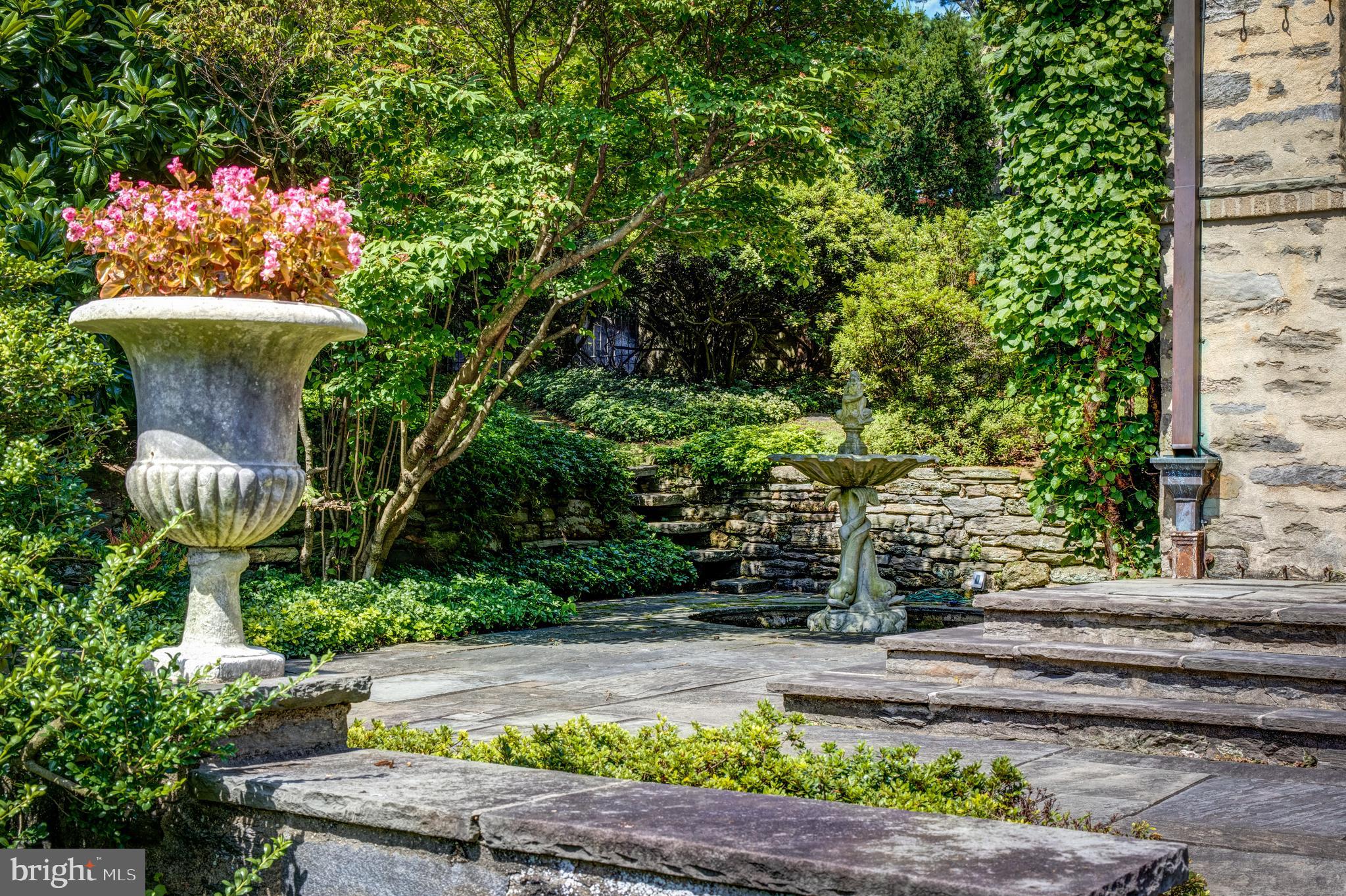 CHESTNUT HILL - Residential