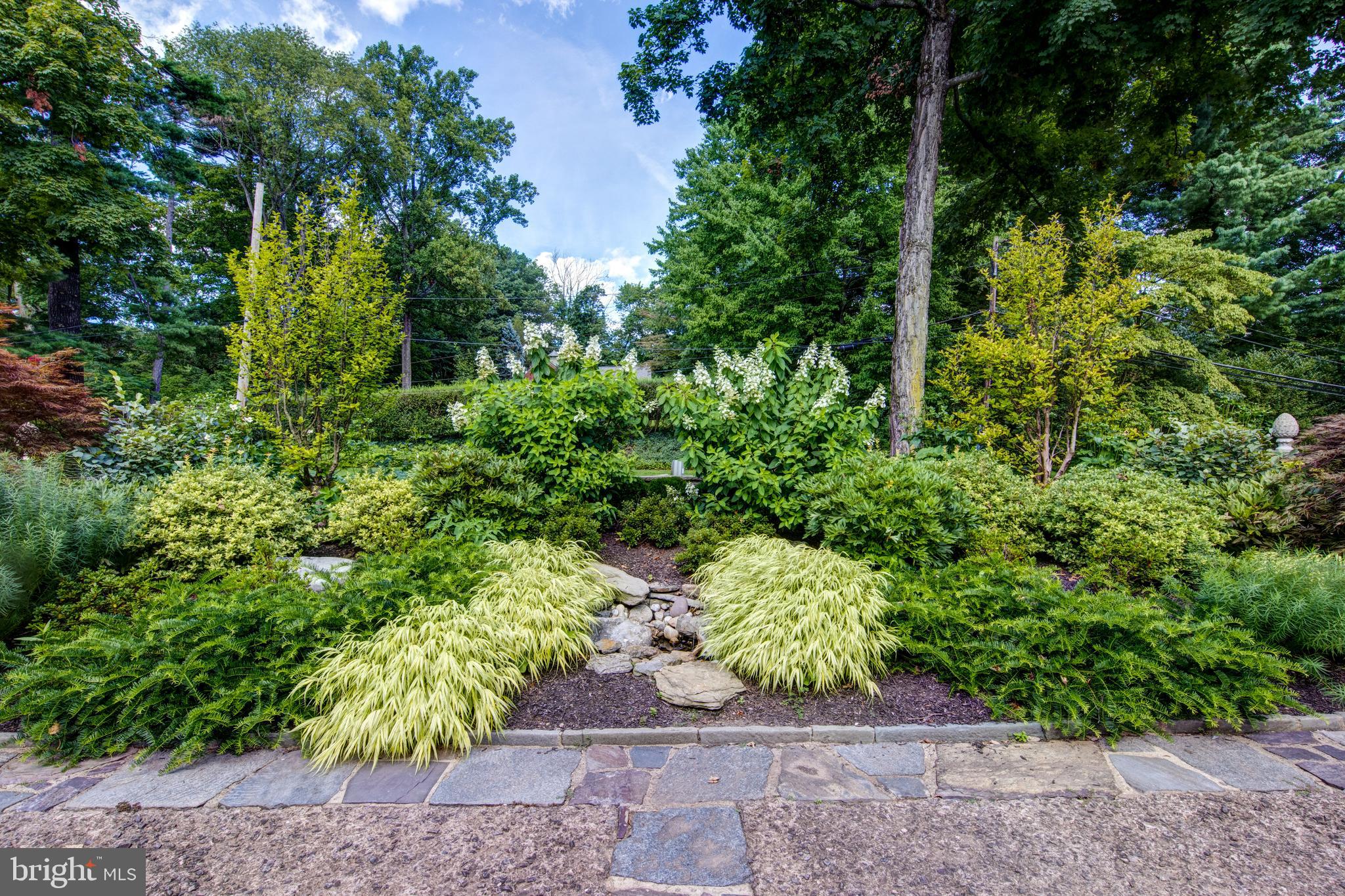 CHESTNUT HILL - Residential