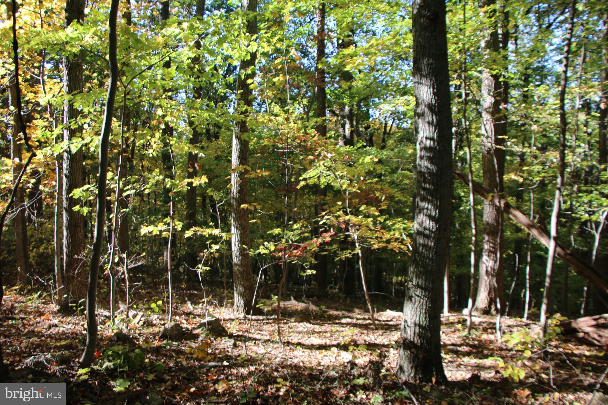 HIDDEN VALLEY FARMS - Land