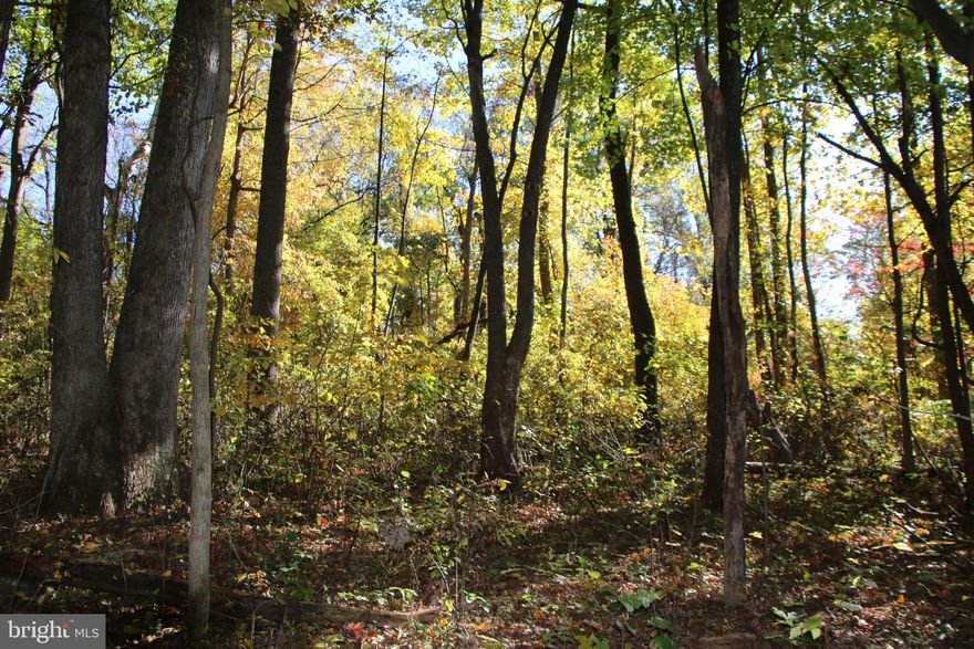 Enjoy privacy and seclusion on this fully wooded lot in the Hidden Valley Farms community. The community is located just off Fiery Run Road in Linden and residents enjoy private access to the lake year round for many types of recreation. The topography is builder friendly and access is easy with road frontage on Hidden Valley Lane. Ideal location to build a permanent residence or a weekend getaway for you and the family. Gorgeous mountain views could be attained once some tree clearing is completed. Deer and turkey frequent the area along with small game species. Electricity is already running along Hidden Valley Lane making for a simple hook up. Access to all the fun and adventure the G. Richard Thompson Wildlife Management Area and Appalachian Trail have to offer are just short drives away from this prime lot.