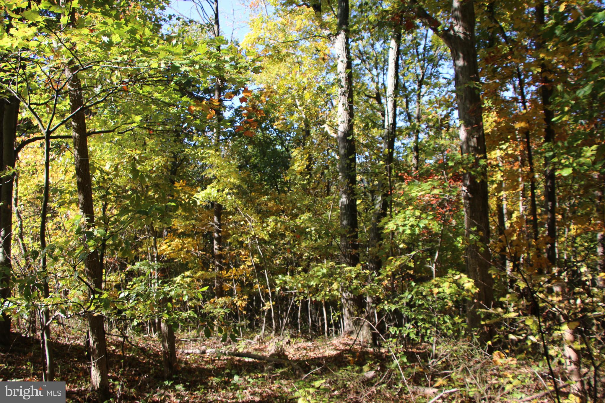 HIDDEN VALLEY FARMS - Land