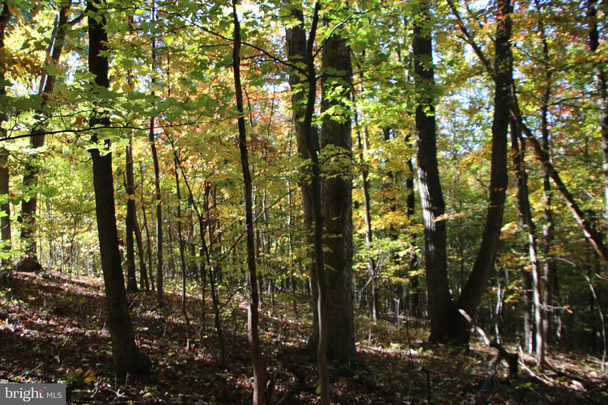 HIDDEN VALLEY FARMS - Land