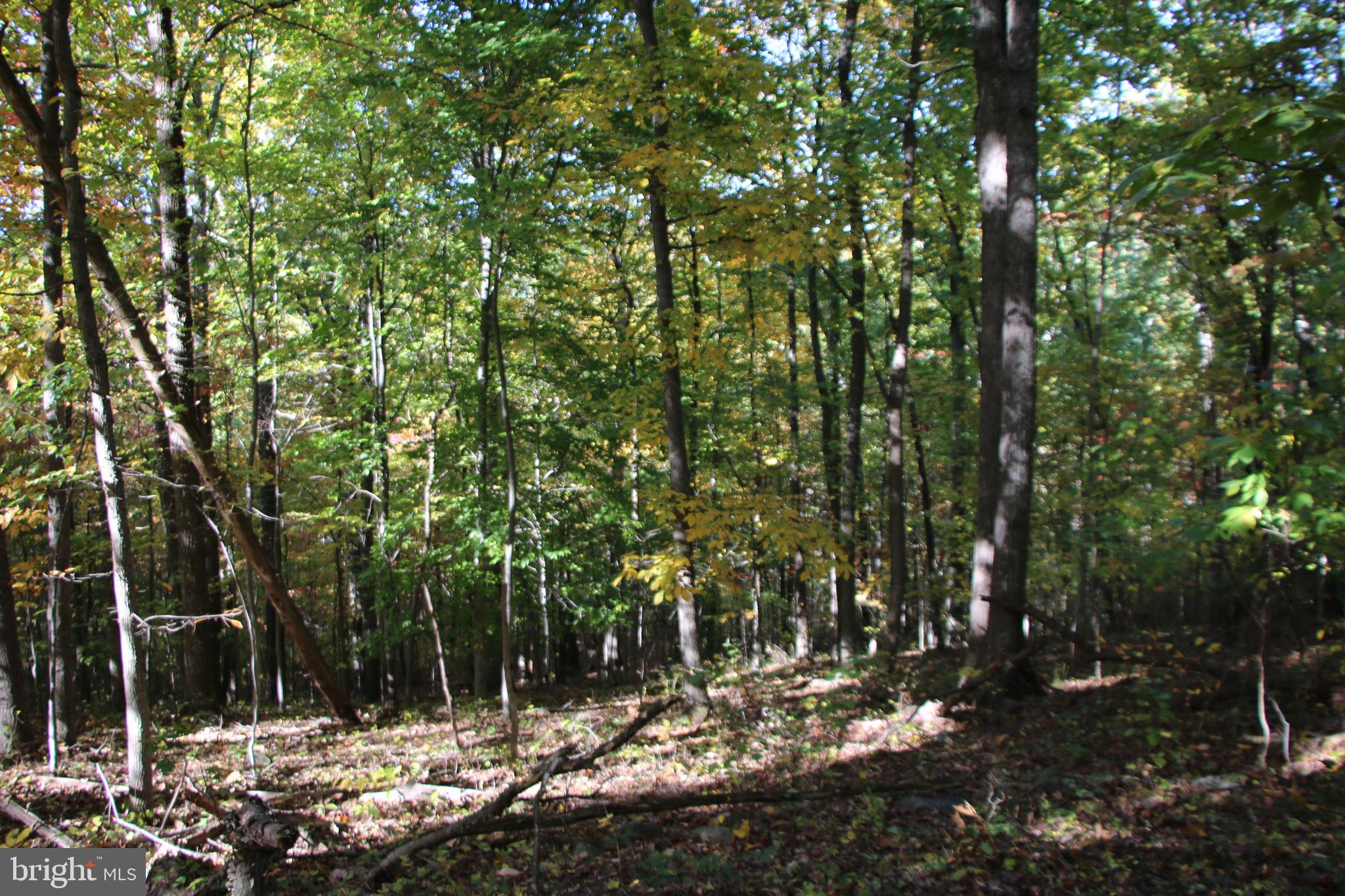 HIDDEN VALLEY FARMS - Land