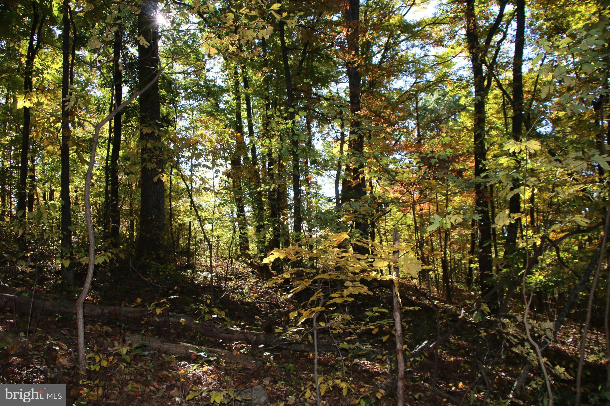 HIDDEN VALLEY FARMS - Land