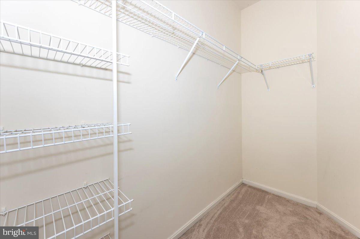 CEDAR GROVE AT CROFTON - Residential