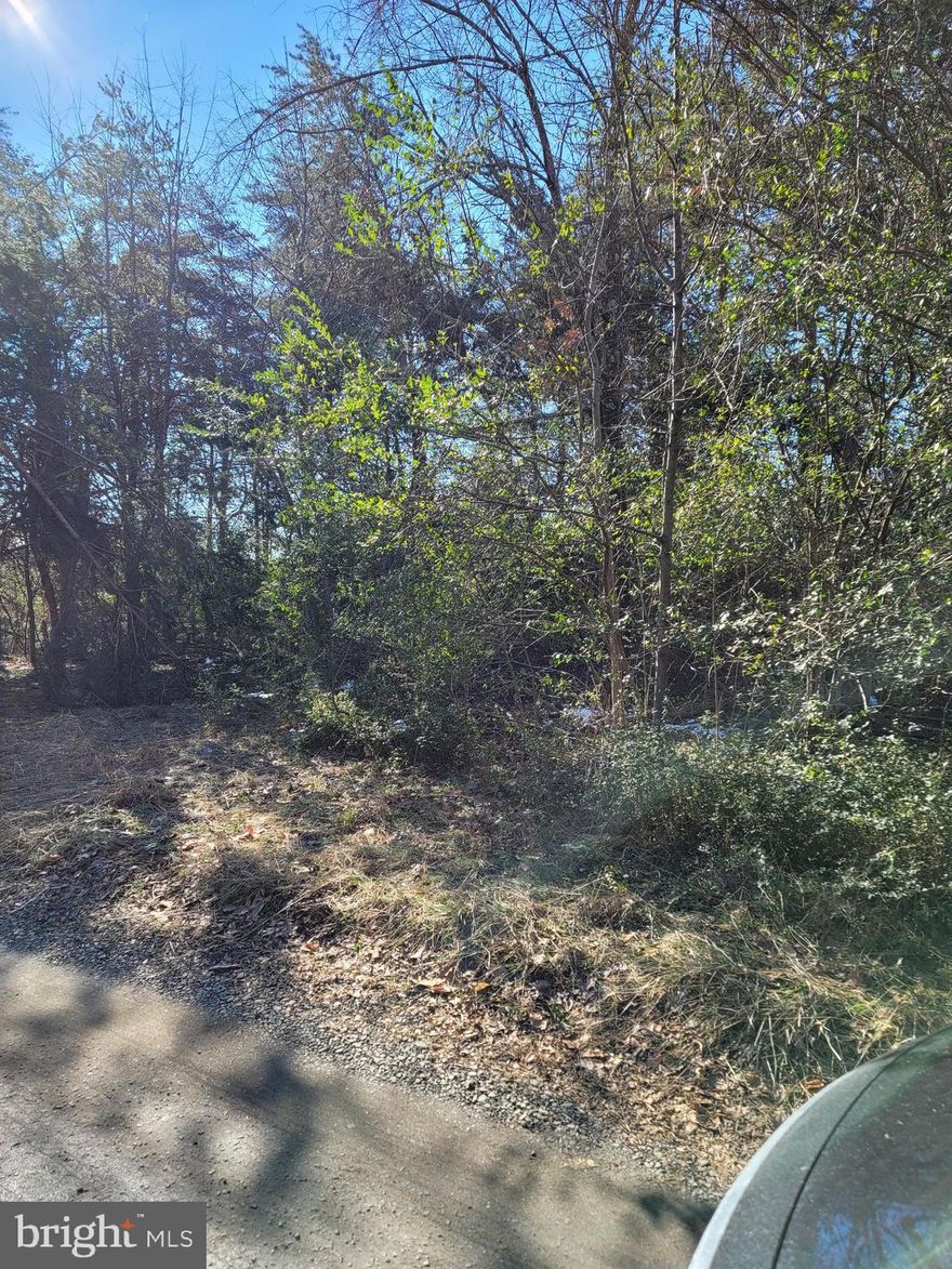 Undeveloped land being sold at assessed value no hassle, no gimmick just a great deal for a great opportunity  to  build a great home! A Little over 1/2 acre private, wooded lot located in Stafford County fully available and ready to be developed.  The land has no reports nor has it undergone any permits.  The lot sits between 2 developed residential properties. Entry road is not paved and is one way. Just minutes to nearby shops, restaurants, commuter lot, I- 95 S/N and route 17.