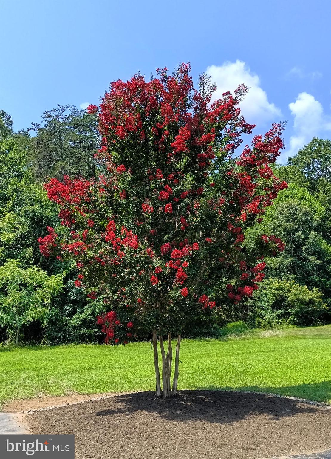 STERLING HEIGHTS - Residential