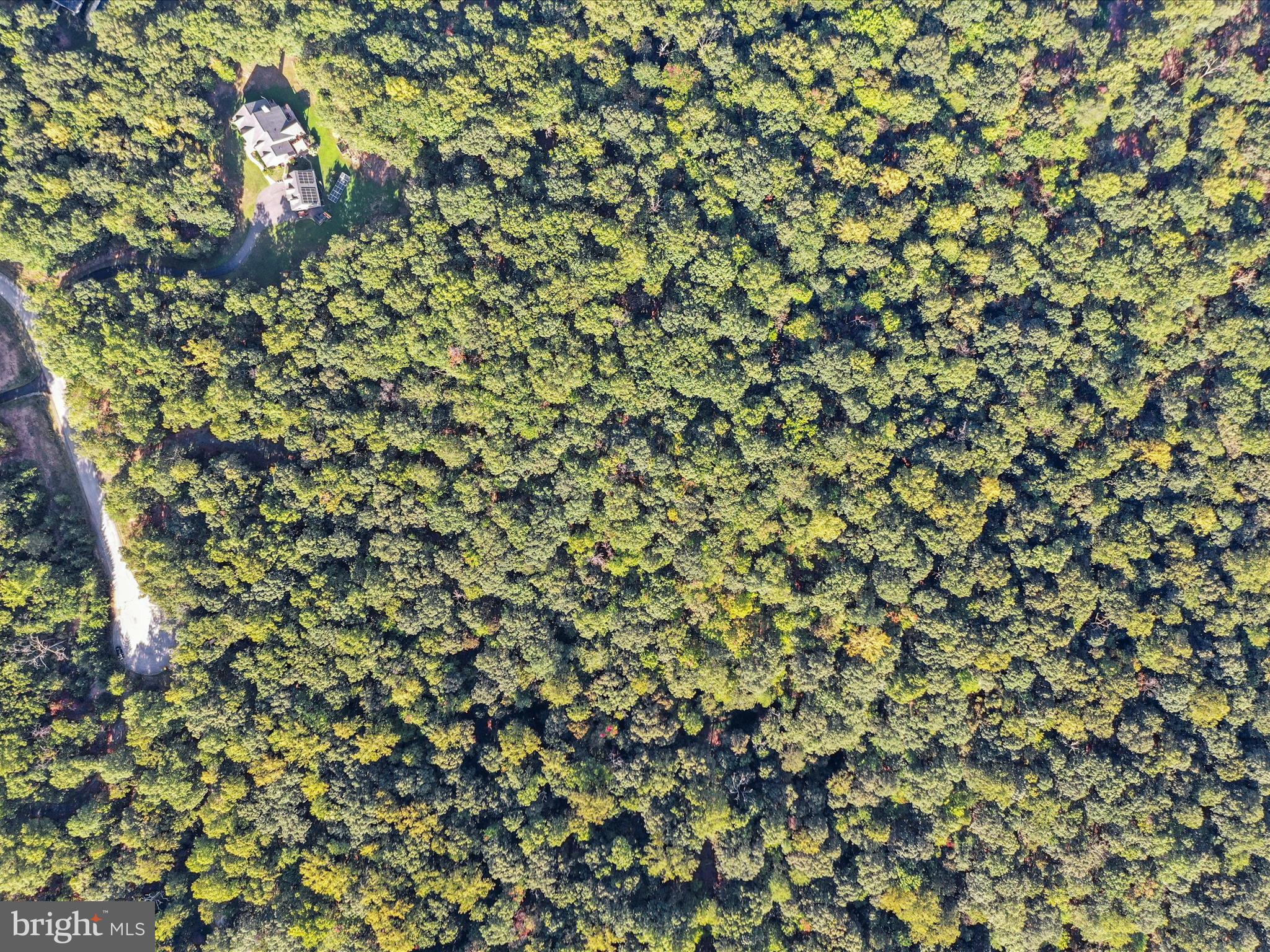 LAKE FOREST ESTATES - Land