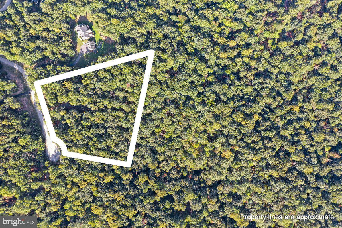 LAKE FOREST ESTATES - Land