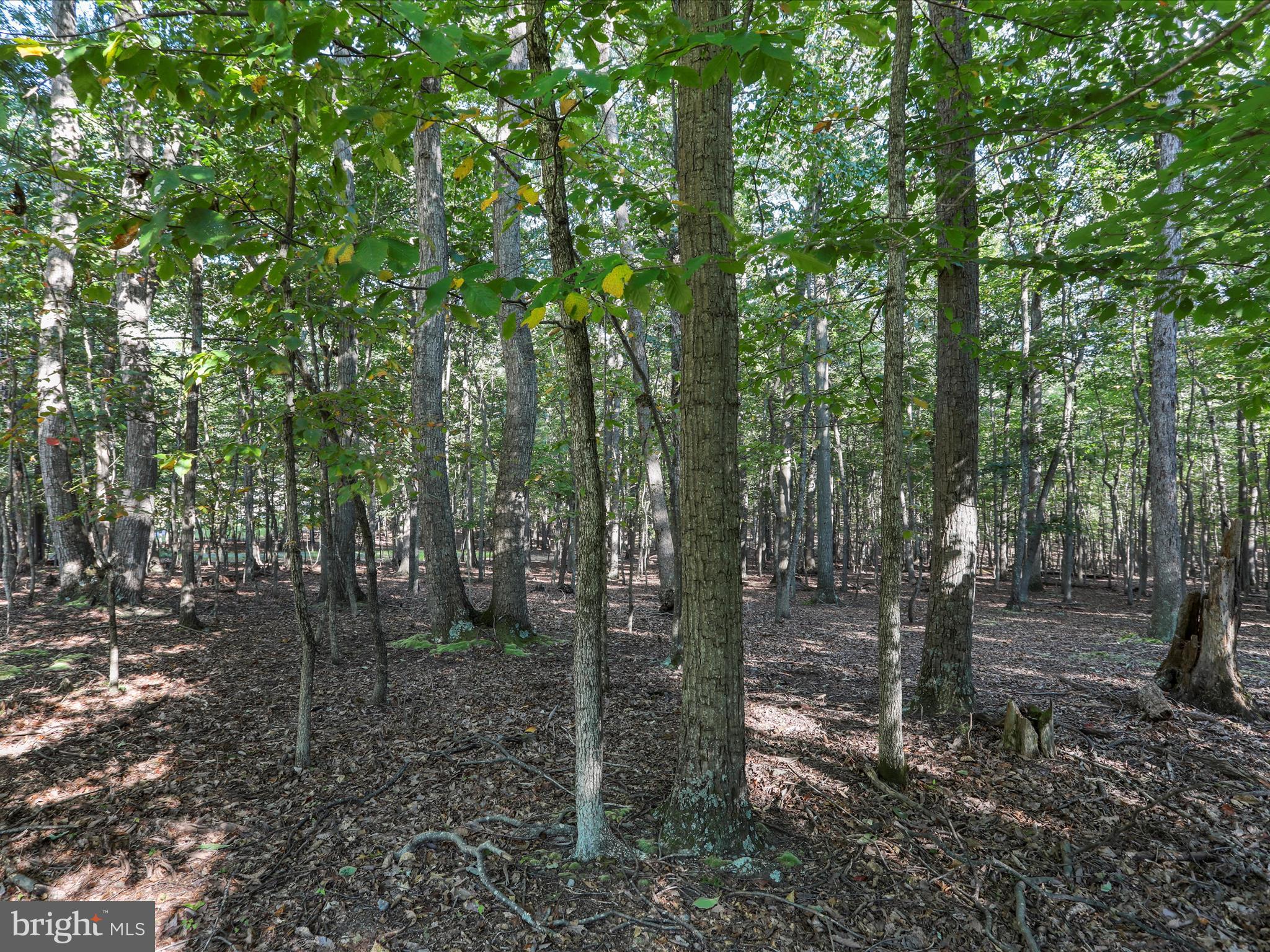 LAKE FOREST ESTATES - Land