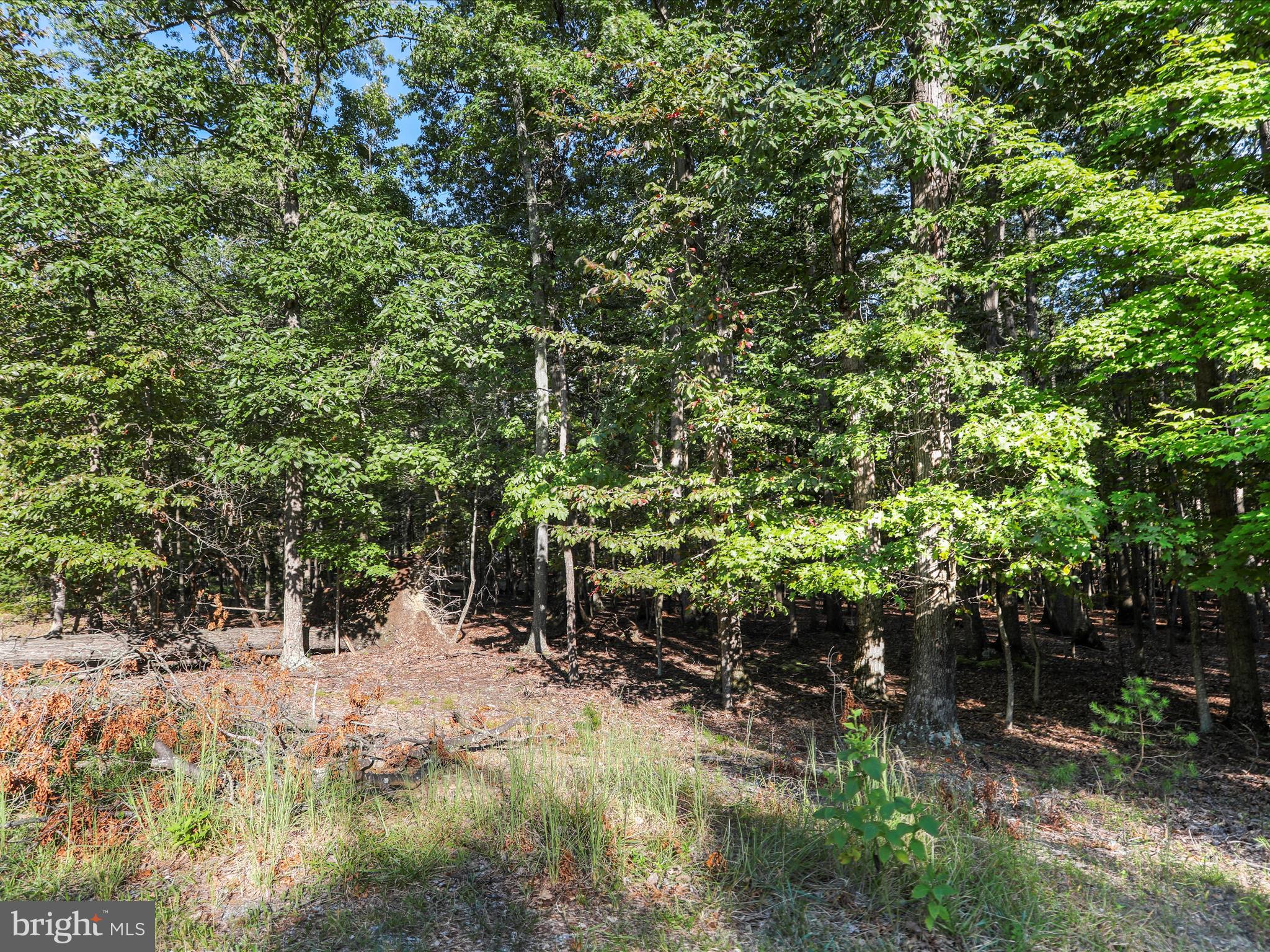 LAKE FOREST ESTATES - Land