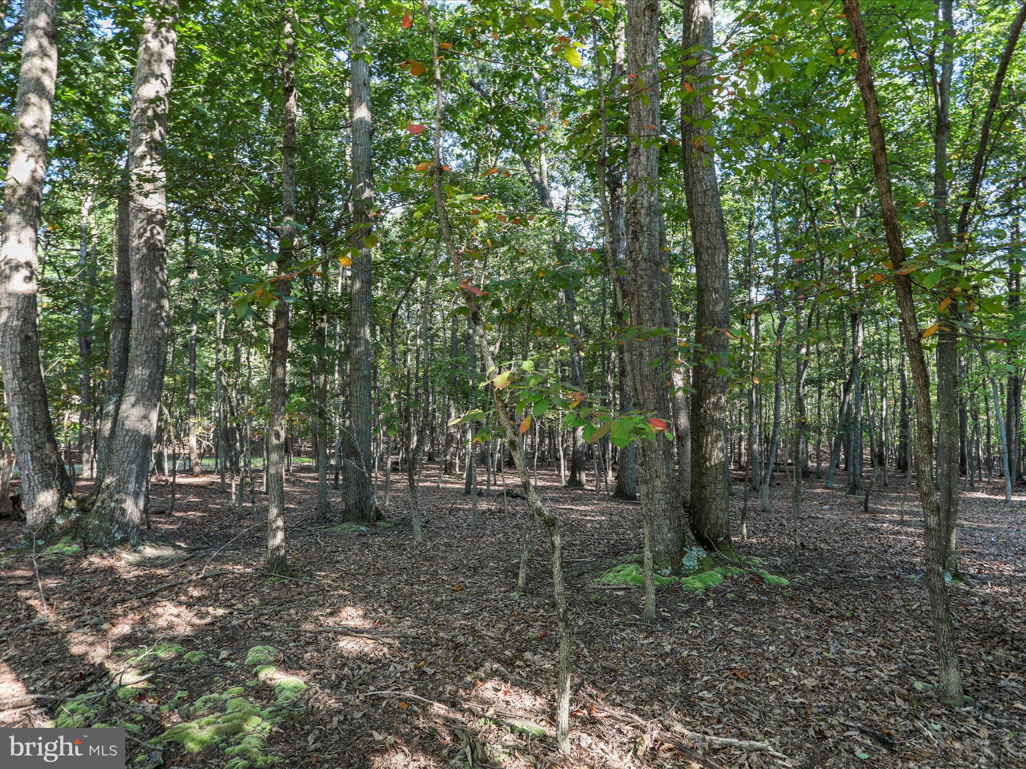 LAKE FOREST ESTATES - Land