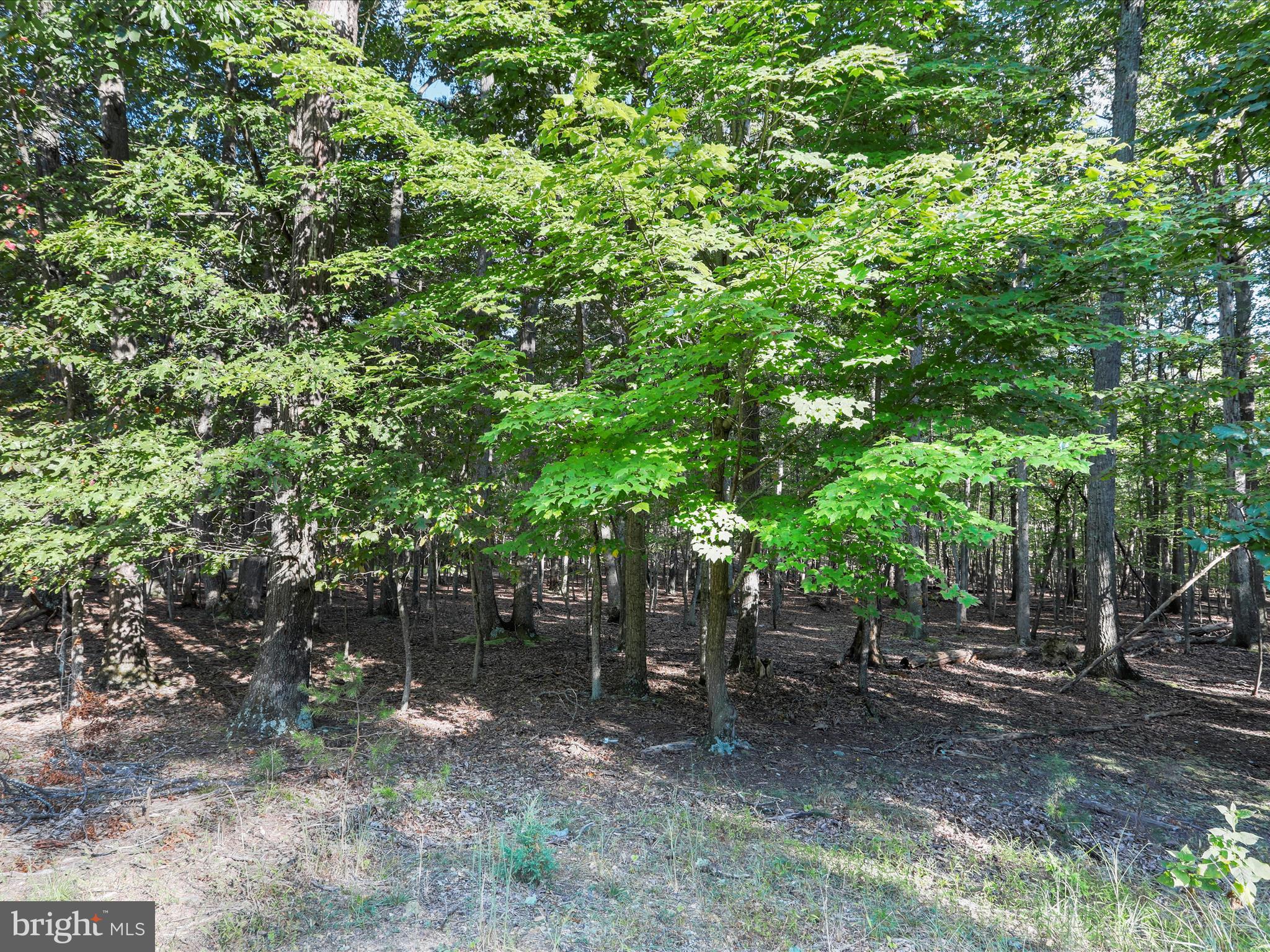 LAKE FOREST ESTATES - Land