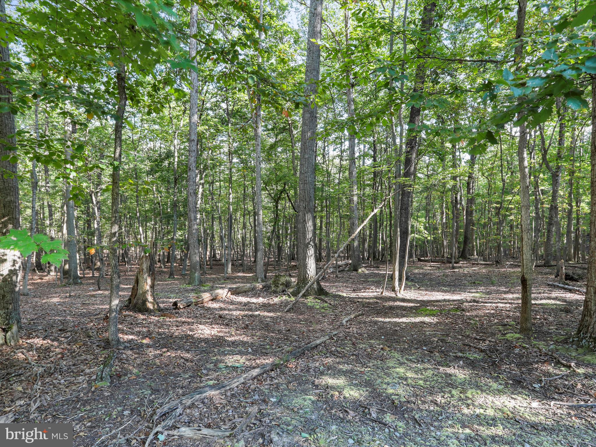 LAKE FOREST ESTATES - Land