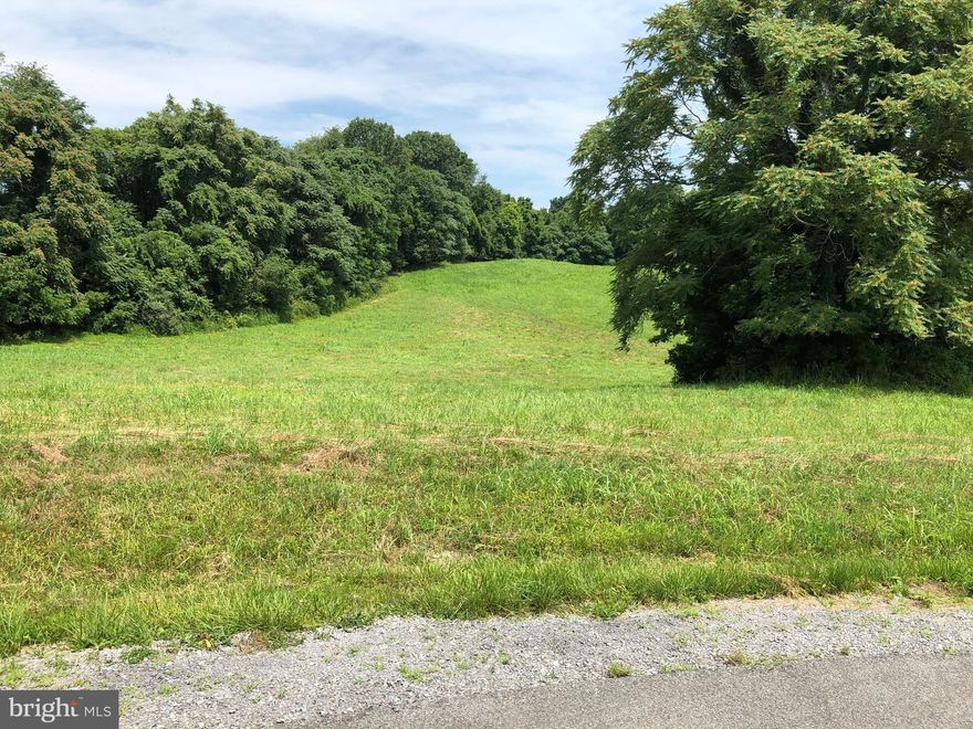 2.38 acres in gated subdivision. Paved roads throughout the subdivision and electric is already on the property. Private subdivision river access and boat marina. Visit the subdivision website for more information. www.crossingsonthepotomac.com
