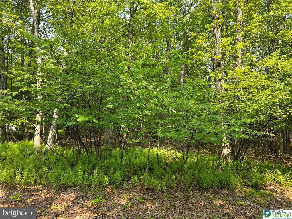 Live Where Others Vacation! This .44-acre flat, wooded lot is ready for your vision—whether it’s a weekend escape or your forever home. Located in the highly desirable Bear Creek Lakes community, this property offers the best of both worlds: the serenity of nature and the excitement of a full-scale lake community. Bear Creek Lakes features a 160-acre lake for kayaking, fishing, and swimming, plus two sandy beaches, a heated Olympic-sized pool, tennis and basketball courts, volleyball, a playground, and a welcoming clubhouse for year-round events and gatherings. Just minutes to historic Jim Thorpe, hiking trails, ski resorts, and the PA Turnpike—this location offers easy access to adventure, charm, and convenience. Level ground, light restrictions, low dues—bring your builder and start dreaming.
