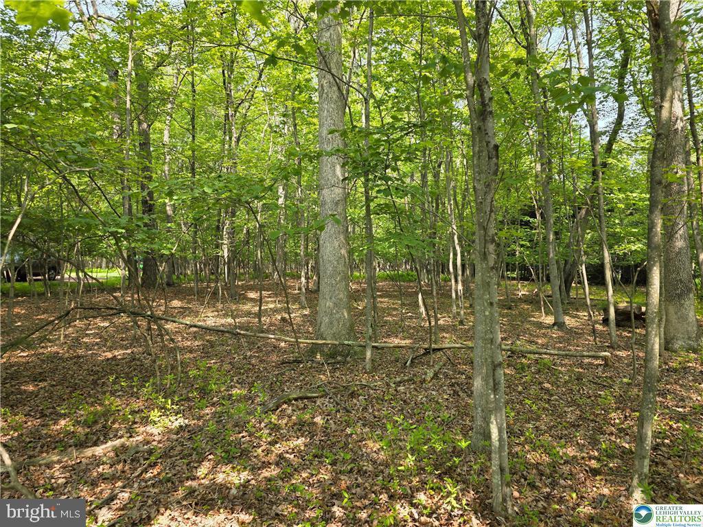163 PINEY WOODS DRIVE