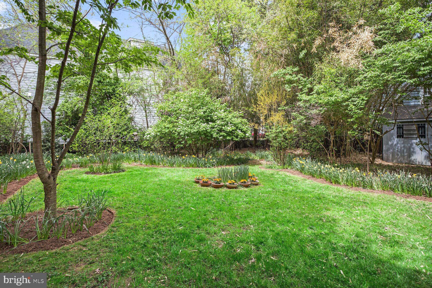 CHEVY CHASE - Residential