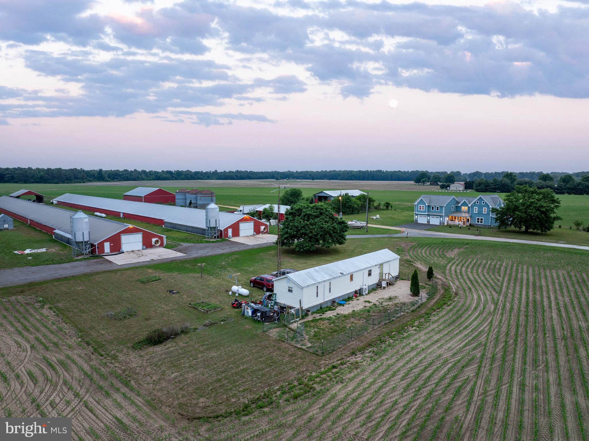 NONE AVAILABLE - Farm