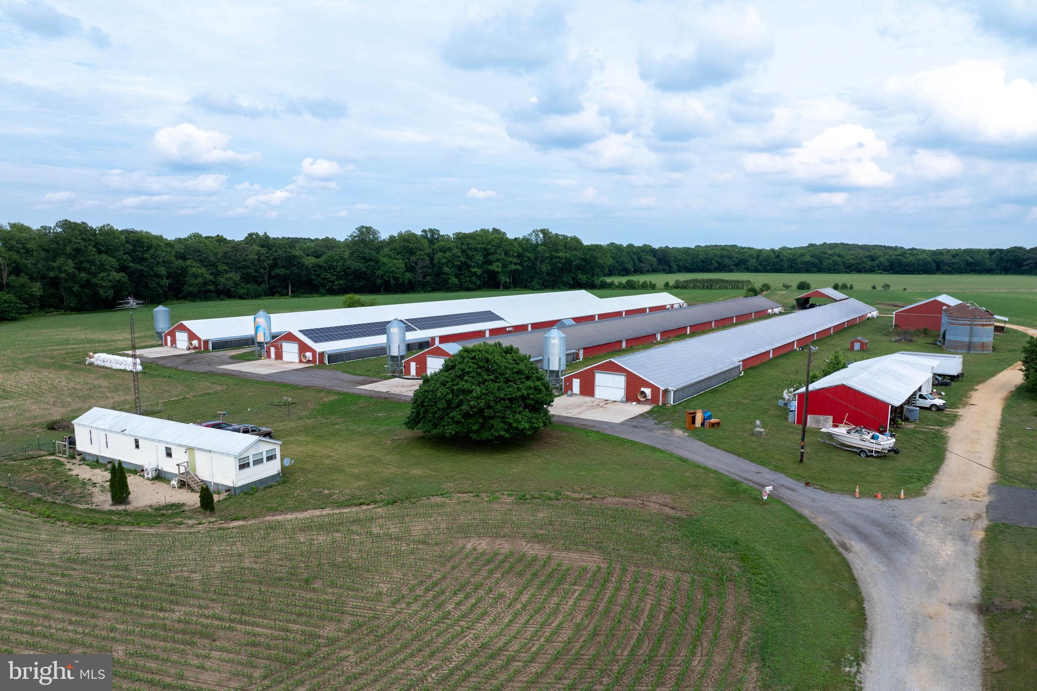 NONE AVAILABLE - Farm