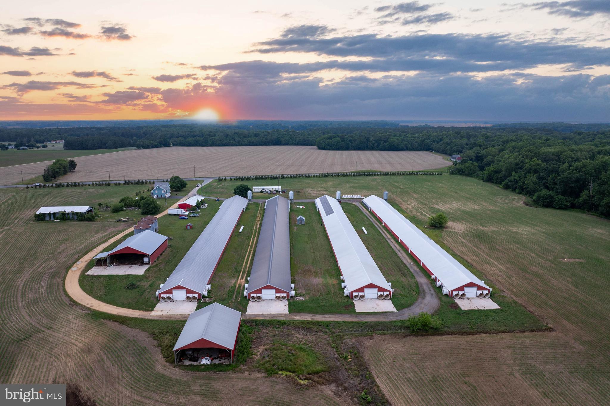 NONE AVAILABLE - Farm