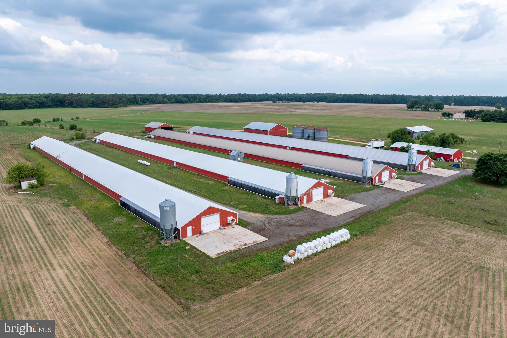 NONE AVAILABLE - Farm