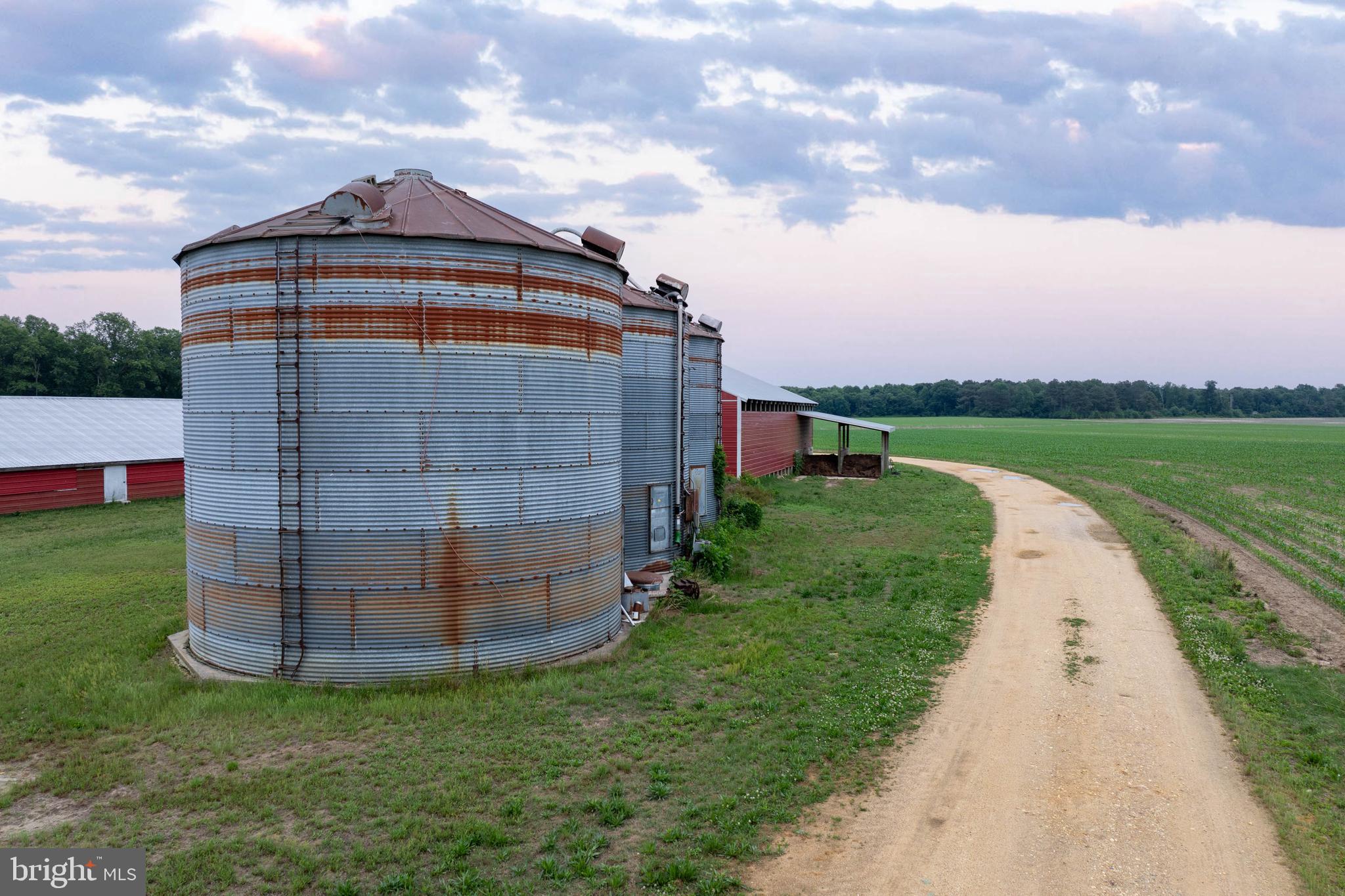 NONE AVAILABLE - Farm