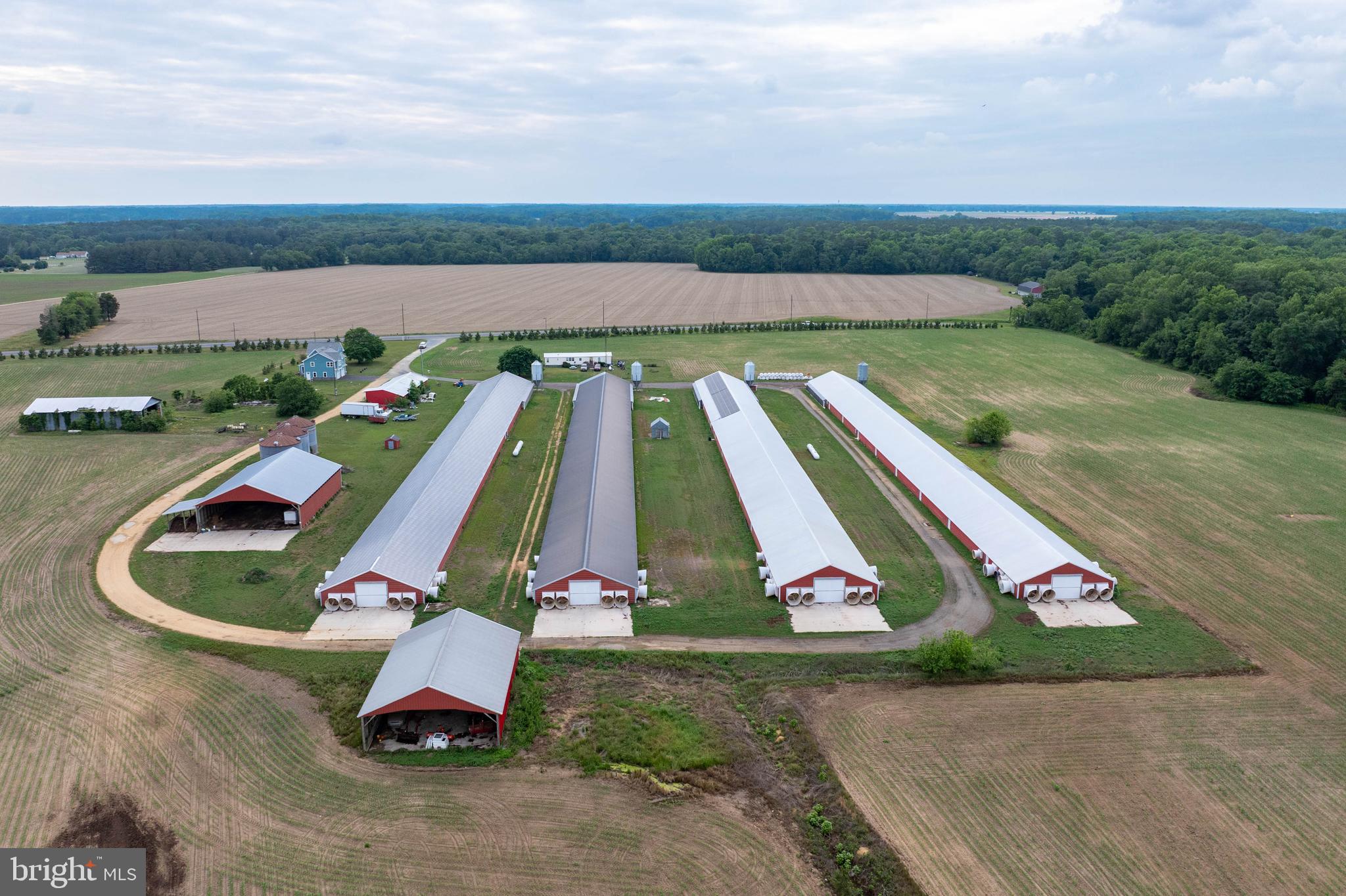 NONE AVAILABLE - Farm