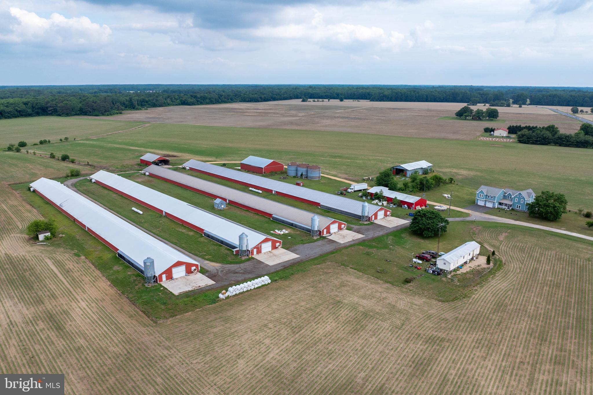NONE AVAILABLE - Farm