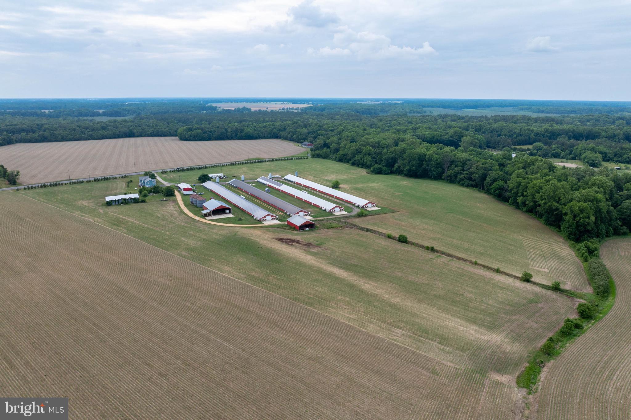 NONE AVAILABLE - Farm