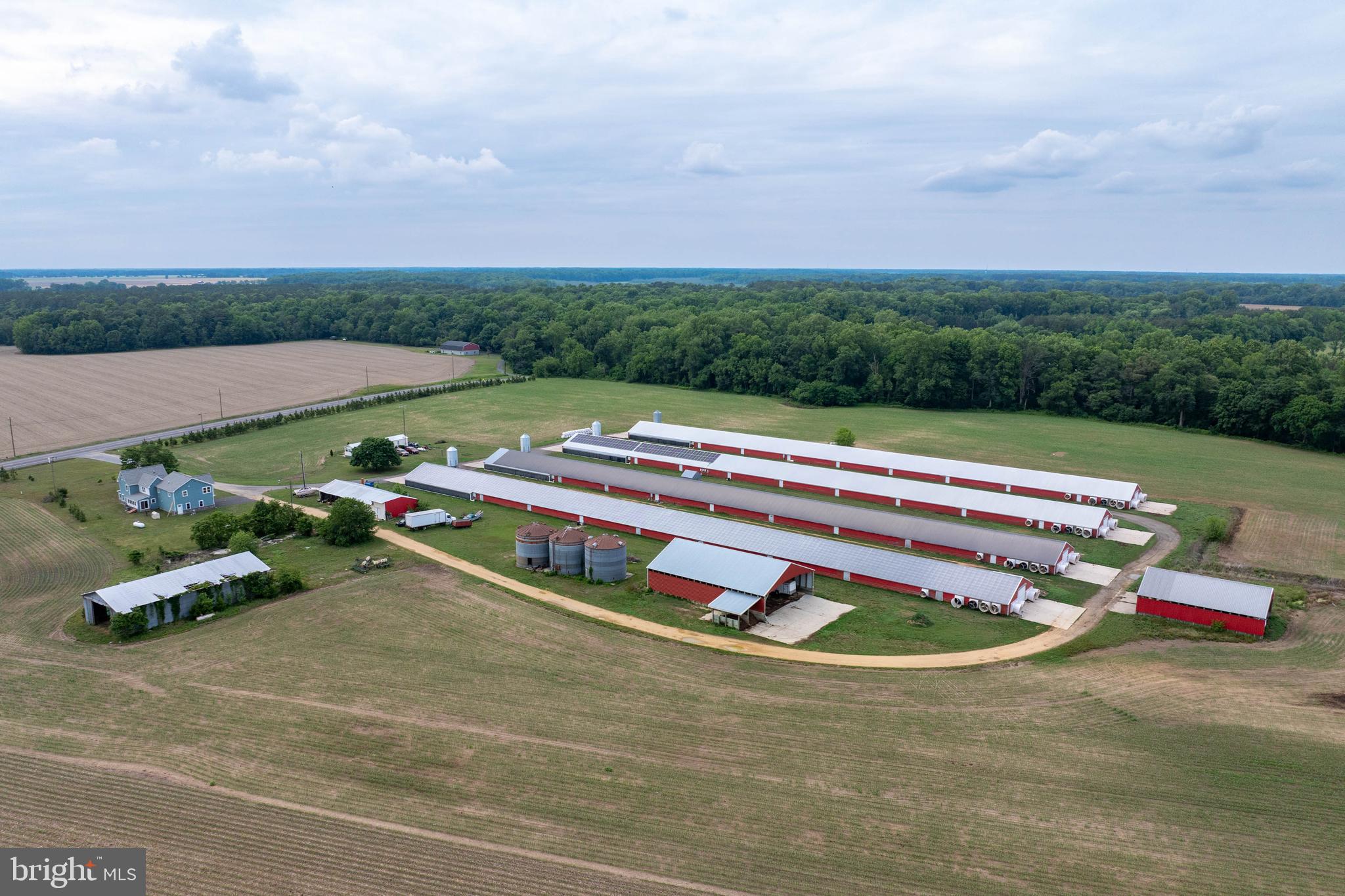 NONE AVAILABLE - Farm