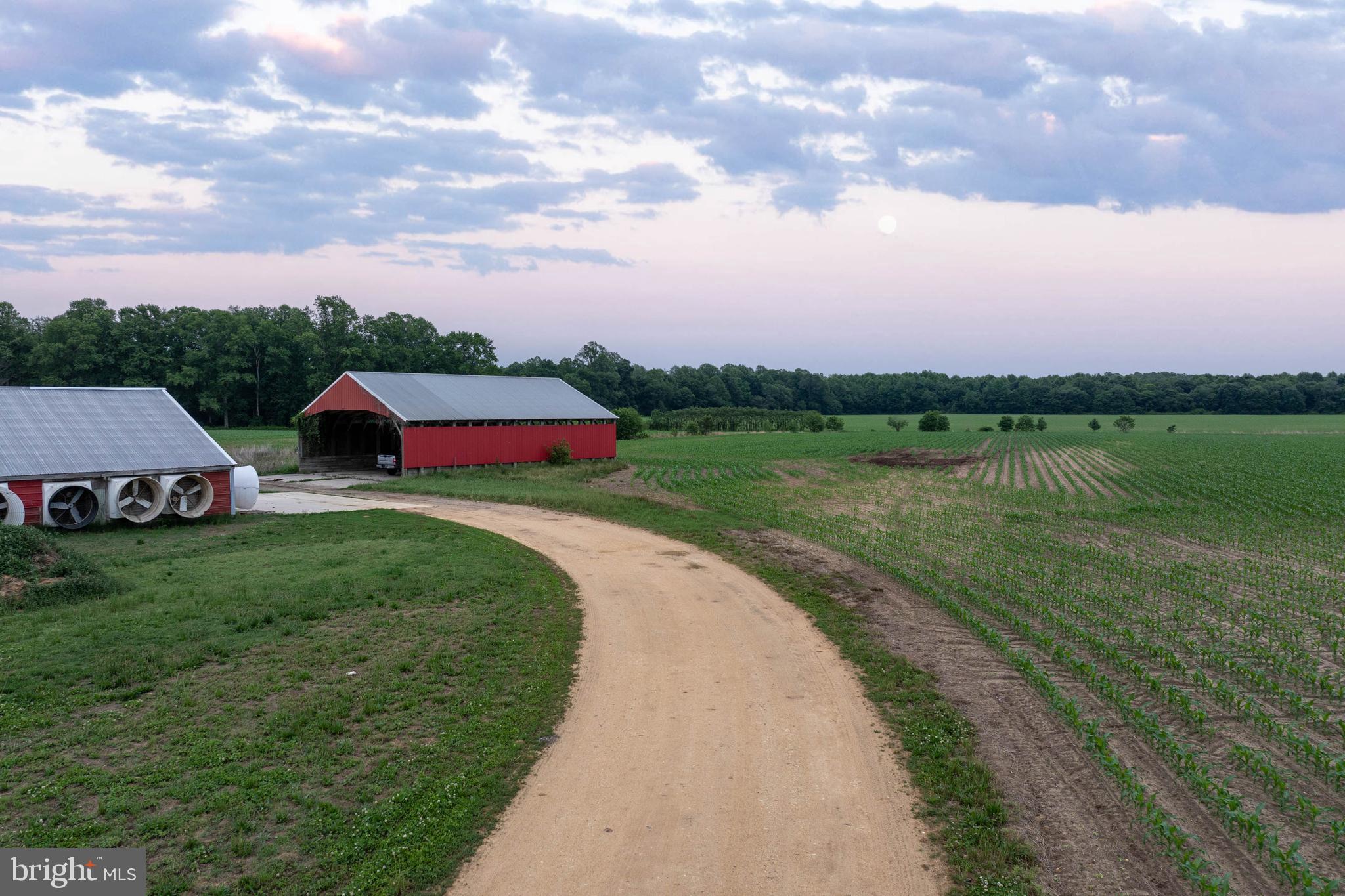 NONE AVAILABLE - Farm