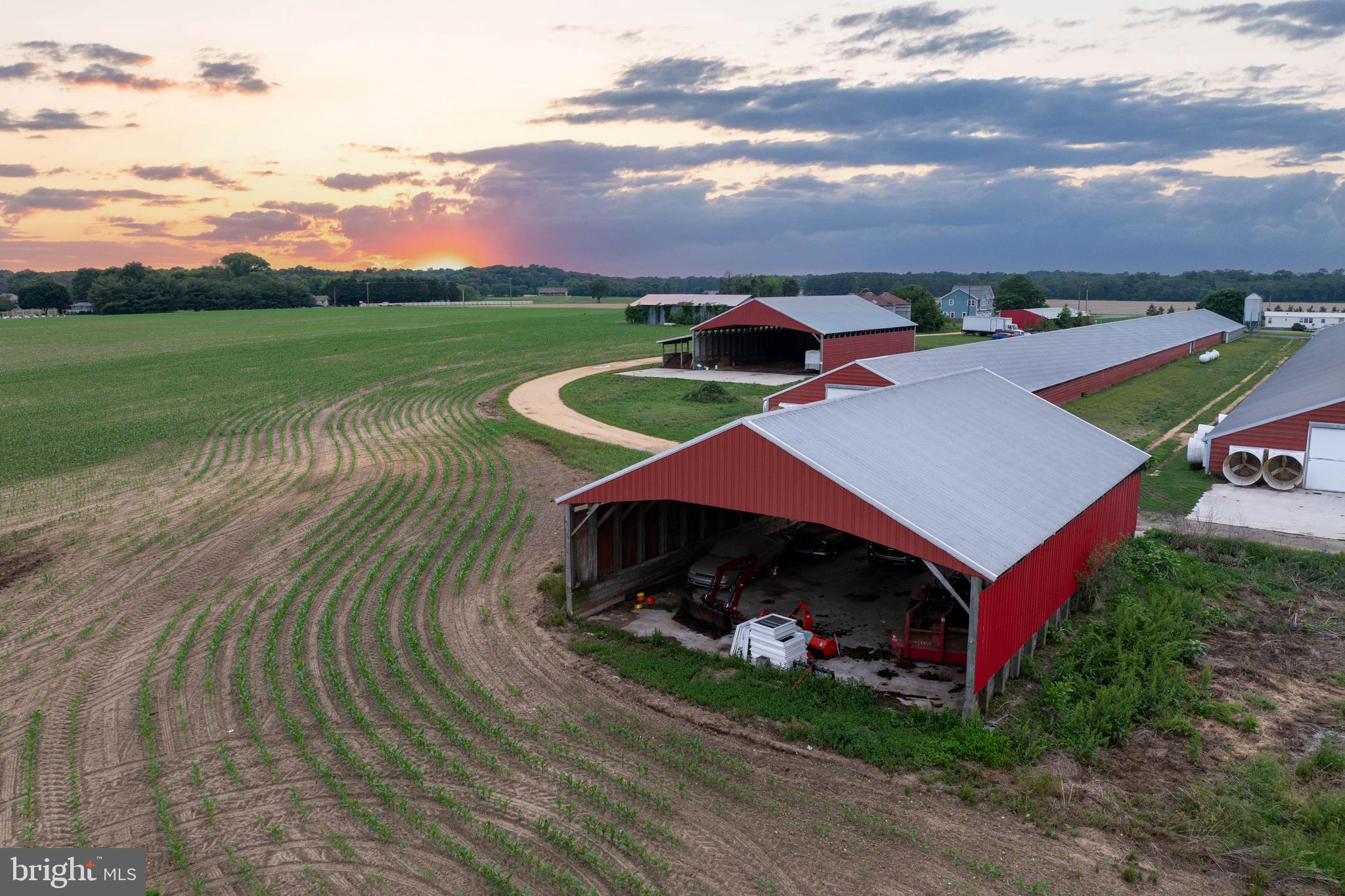 NONE AVAILABLE - Farm