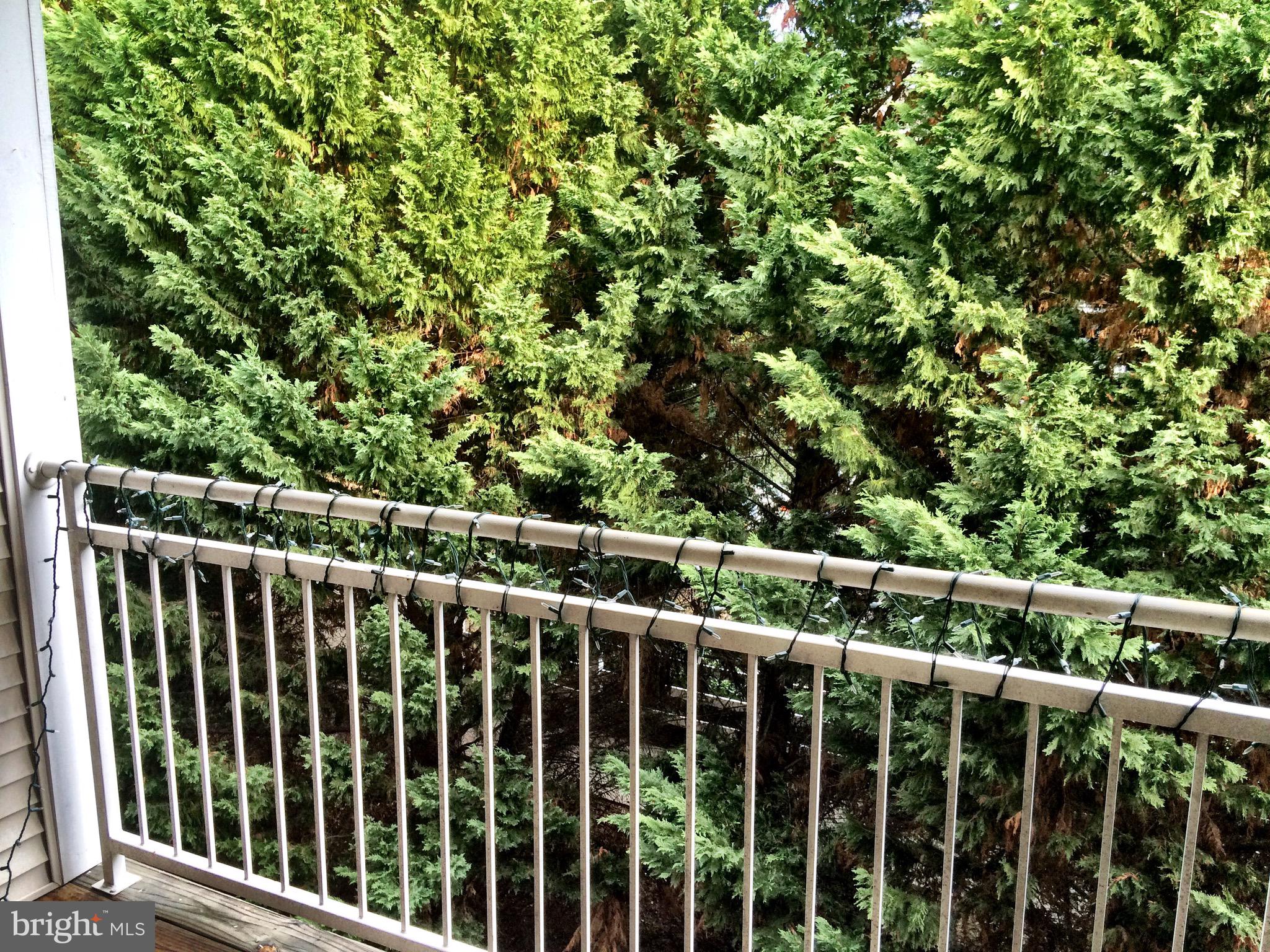 NORTH POINT VILLAS - Residential Lease