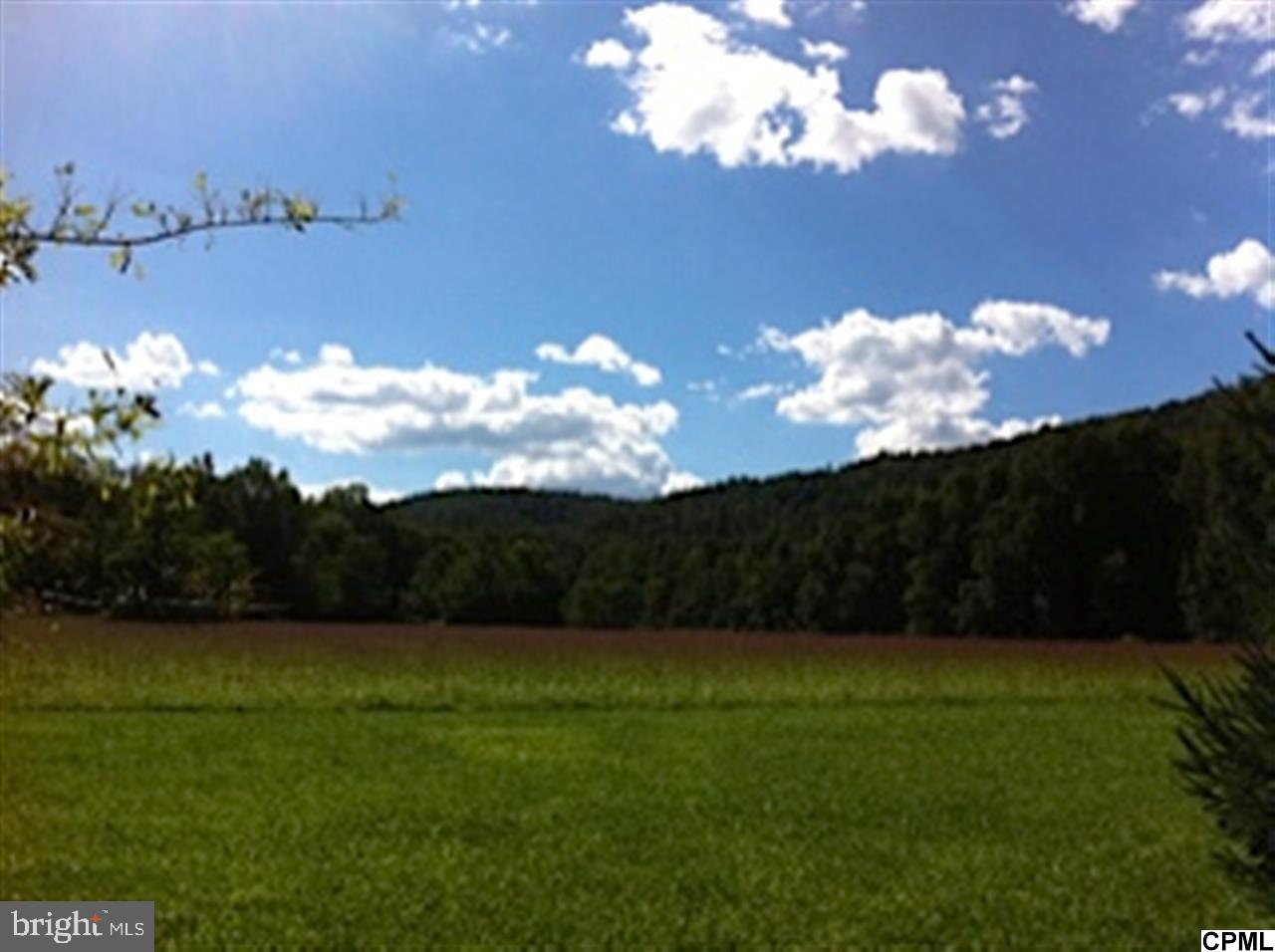 If you want to "Get away from it all", this may be the perfect location. A combination of woodland, fields and a stream complete with several swimming holes. A primitive 28 X 40 cabin has electric but no plumbing. Perc test on file. For now it's the outhouse! LOW TAXES because of CLEAN & GREEN enrollment!
