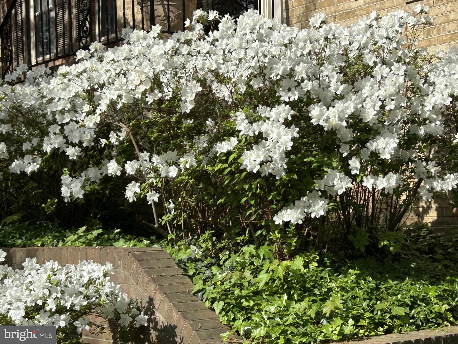 CREST OF WICKFORD - Residential