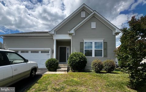 401 AMBERLY COURT MILLSBORO DE 19966