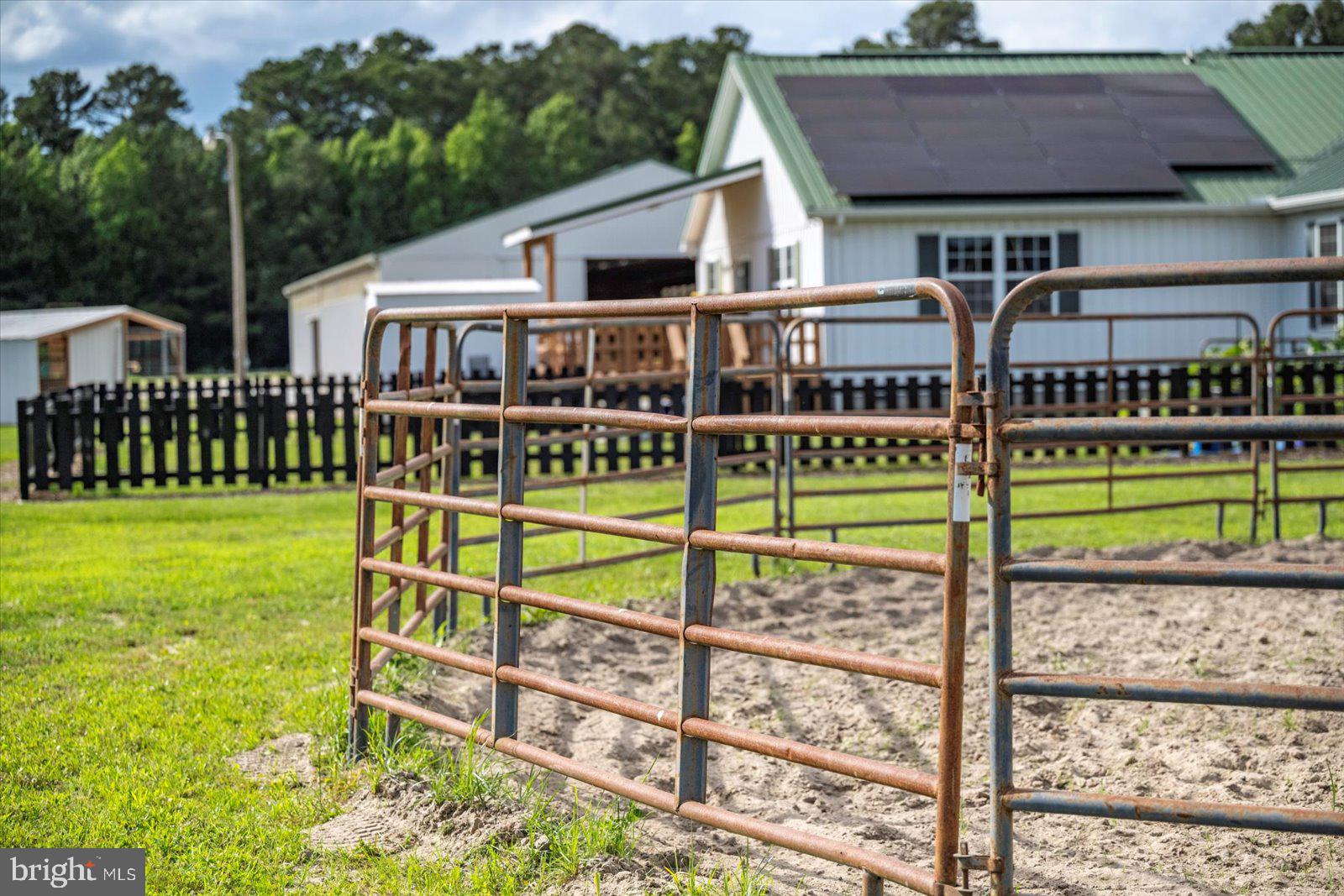 NONE AVAILABLE - Farm