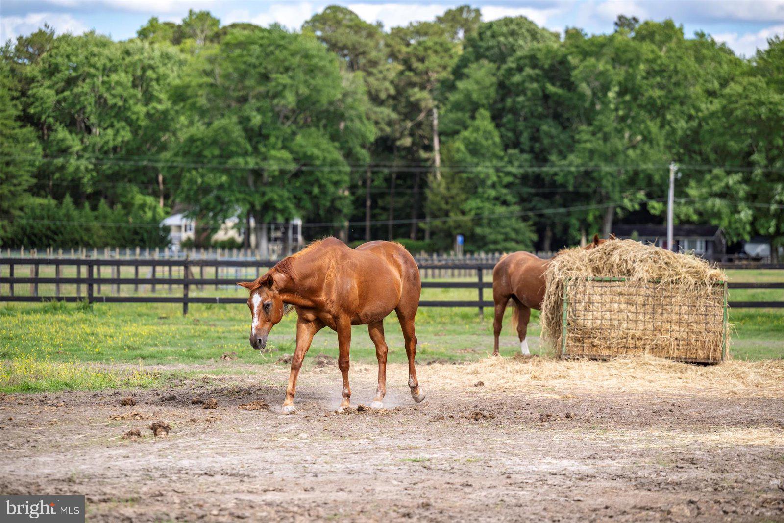 NONE AVAILABLE - Farm